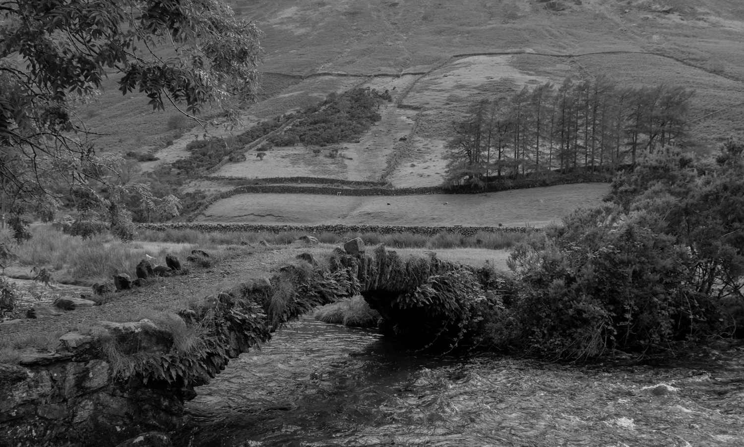 Pac Horse Bridge