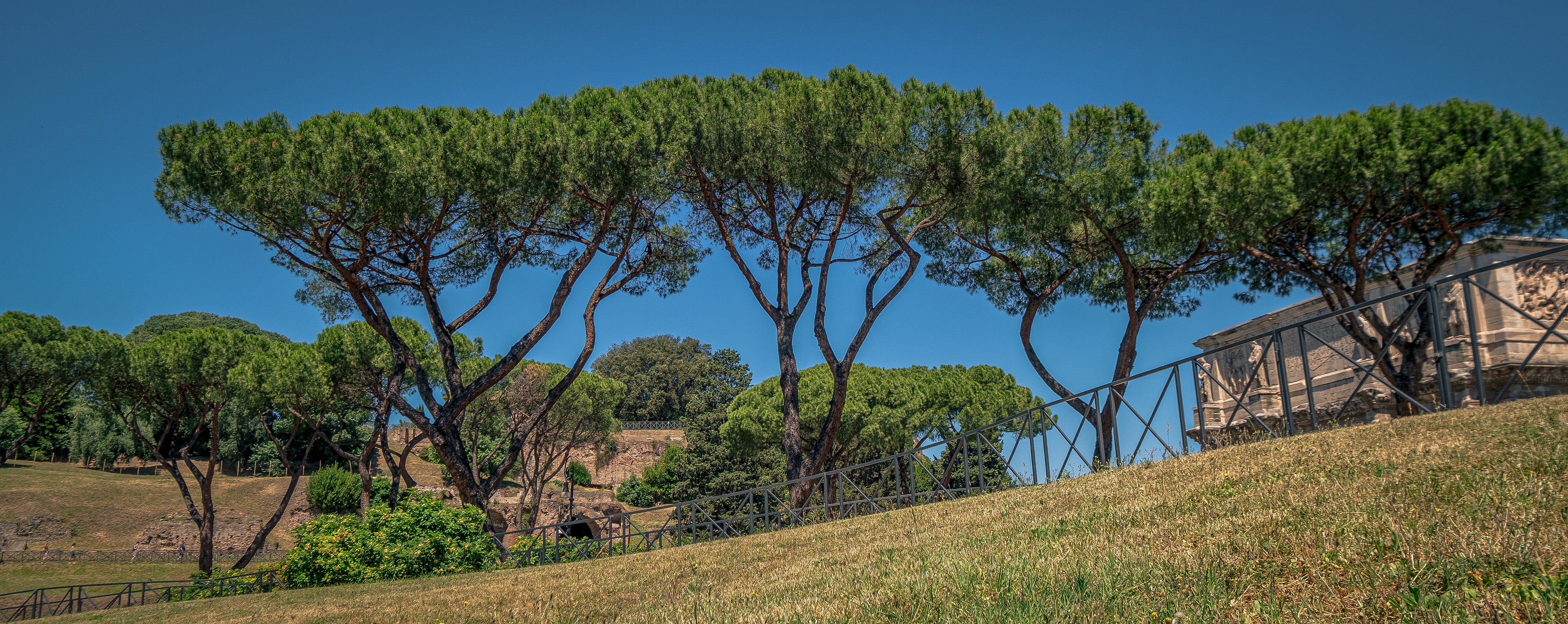 ROME