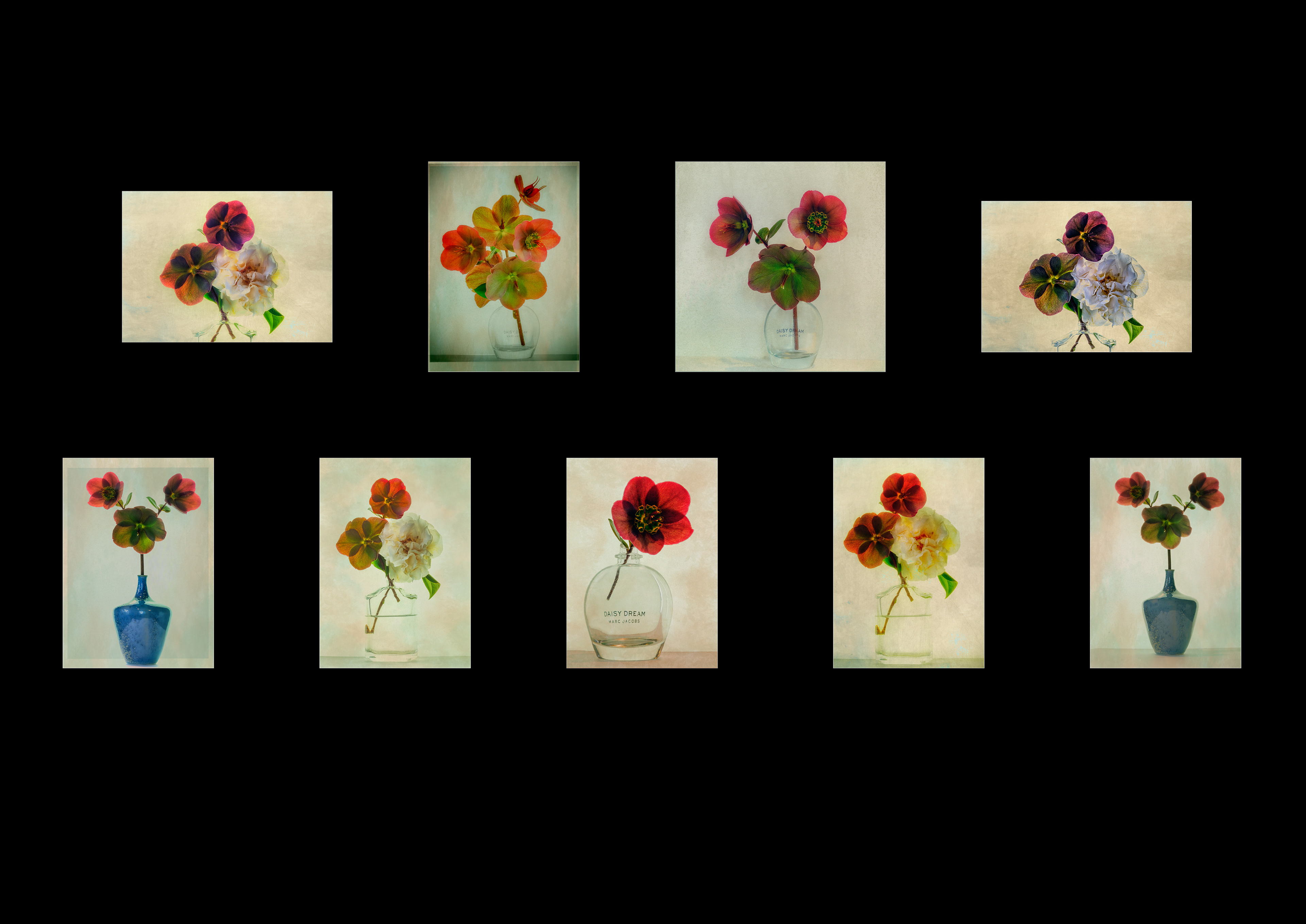 Fine Art Flowers 2