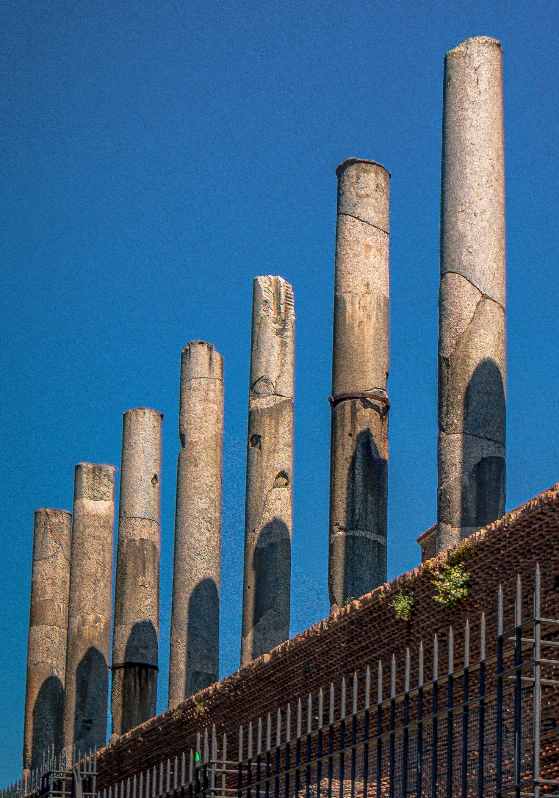 Roman Forum 