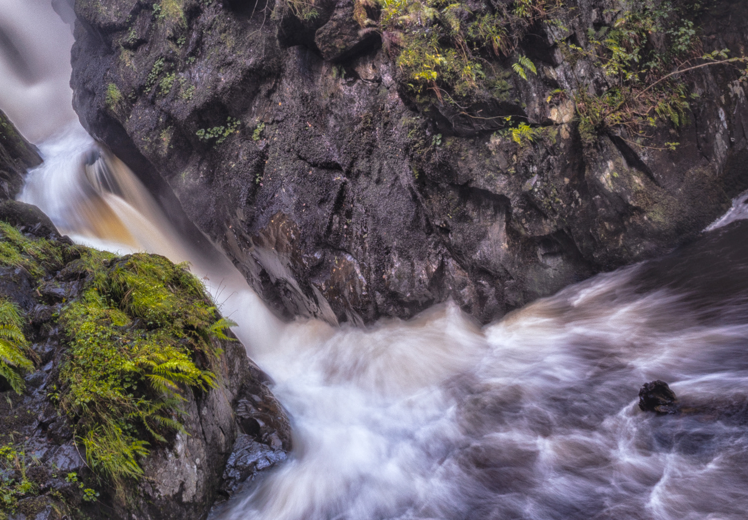 Aira Force