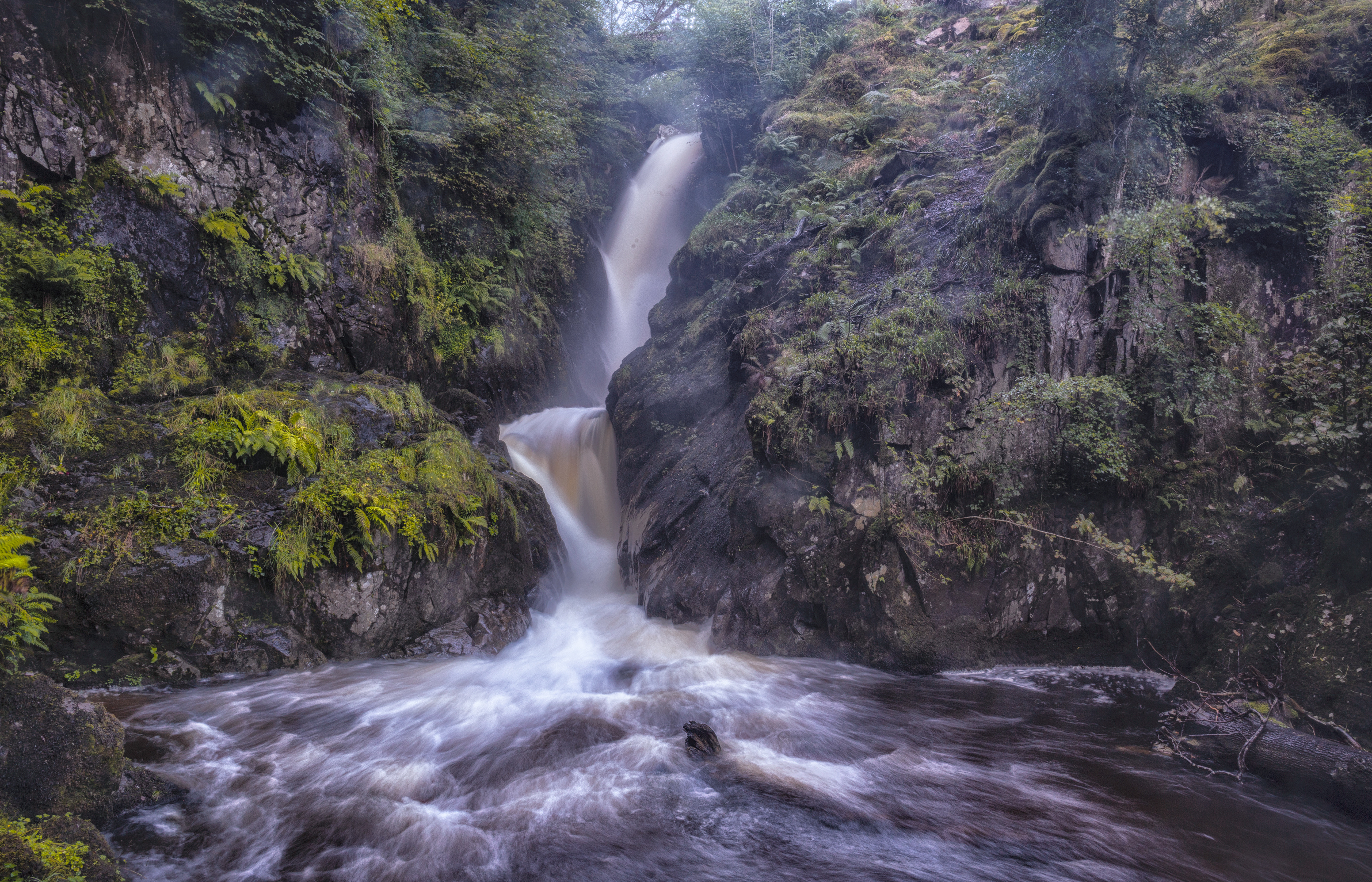 Aira Force