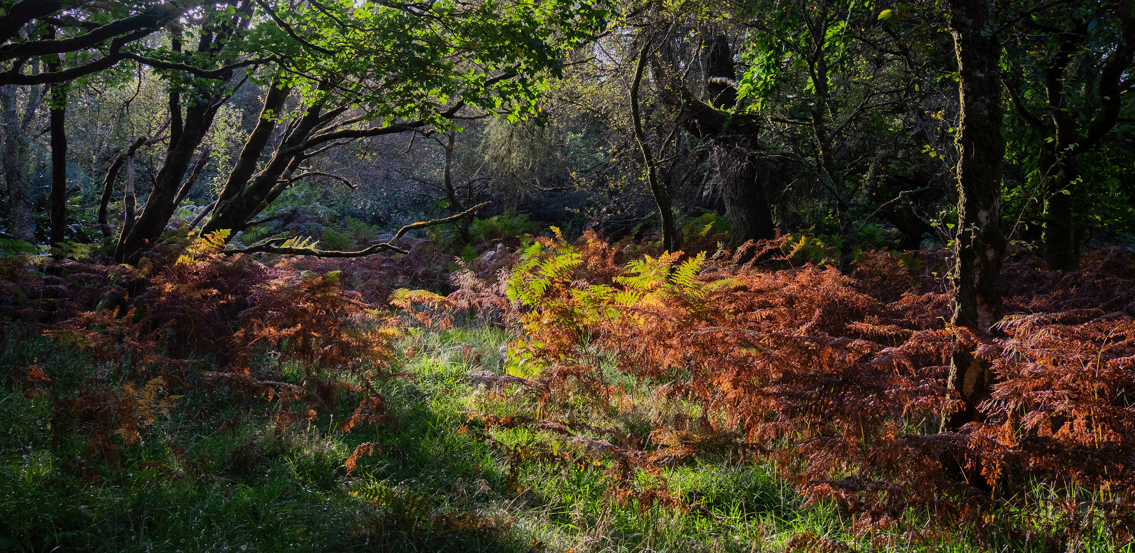 Entering Autumn