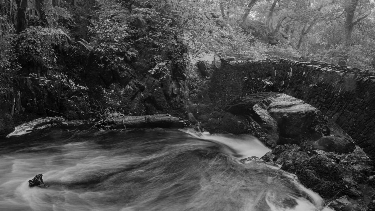 Aira Force