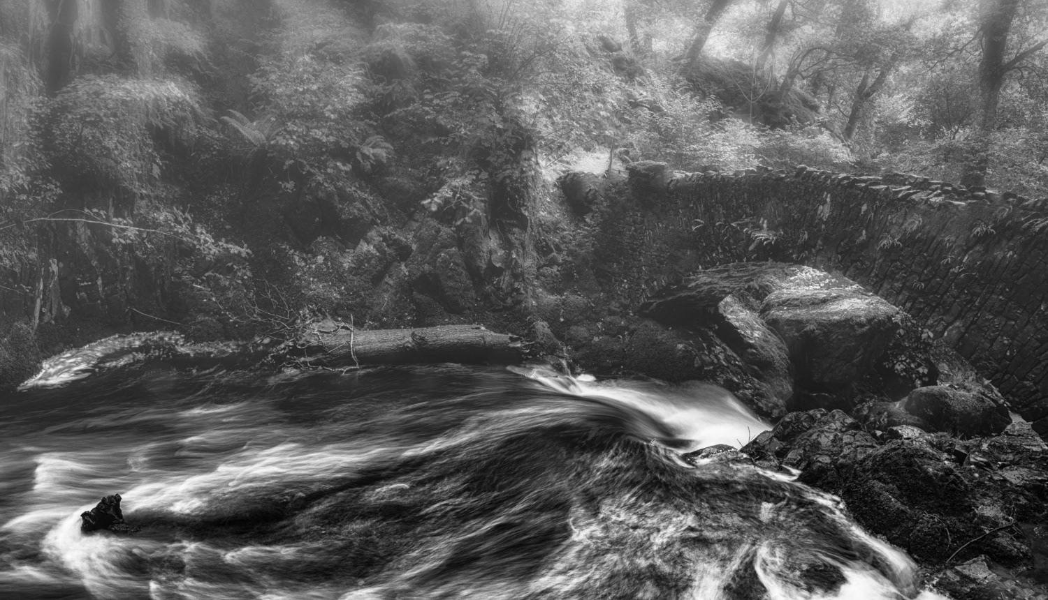 Aira Force