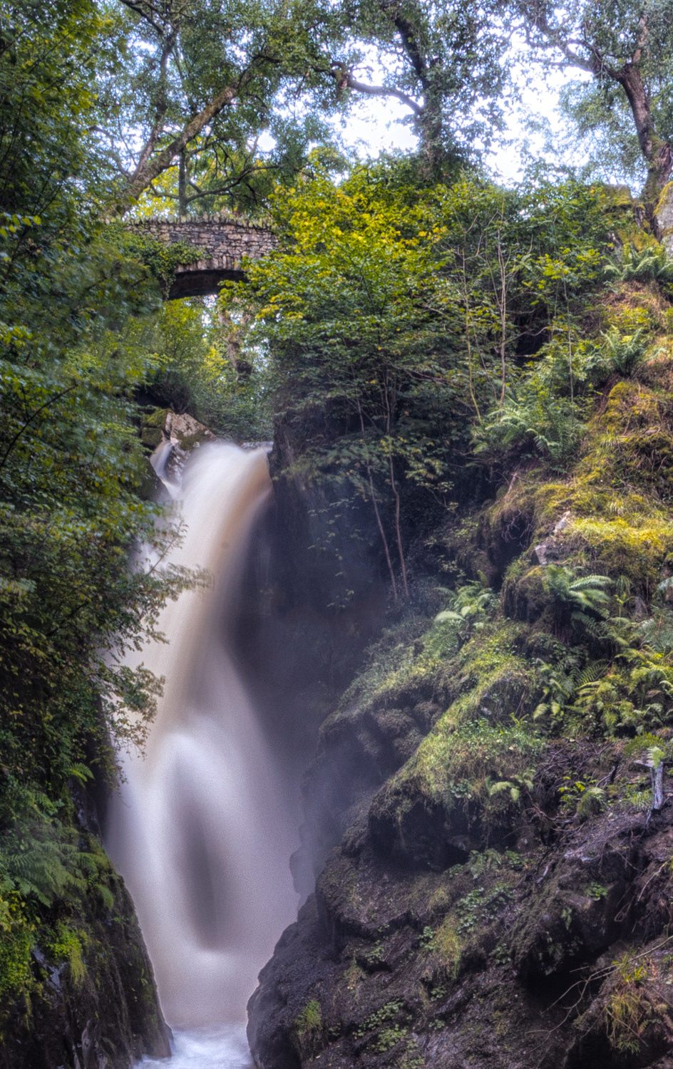 Aira Force