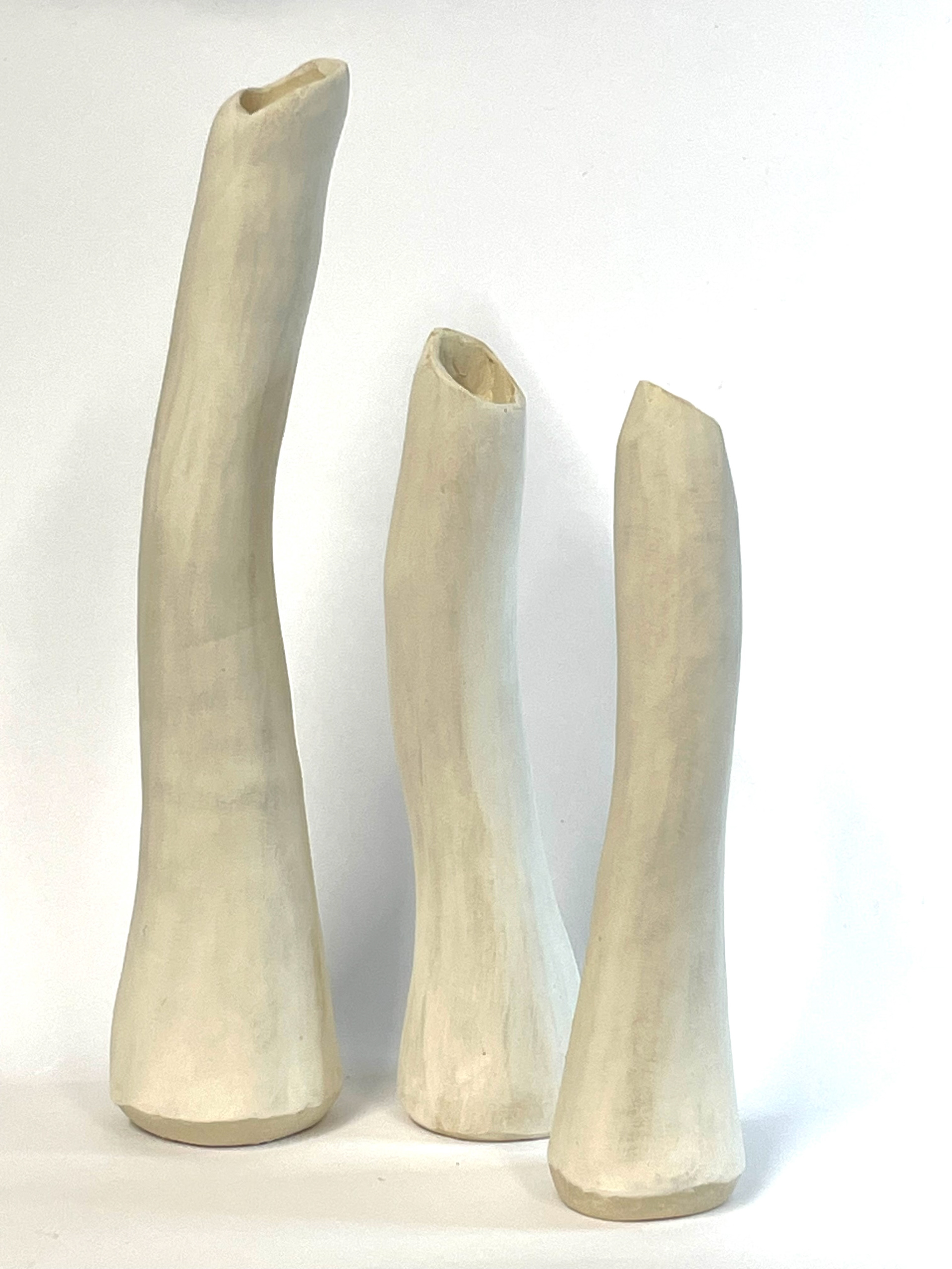 Another extension from my texture library. These three bud vases were wheel thrown and distorted. White slip was polished so no glaze applied to the outside.