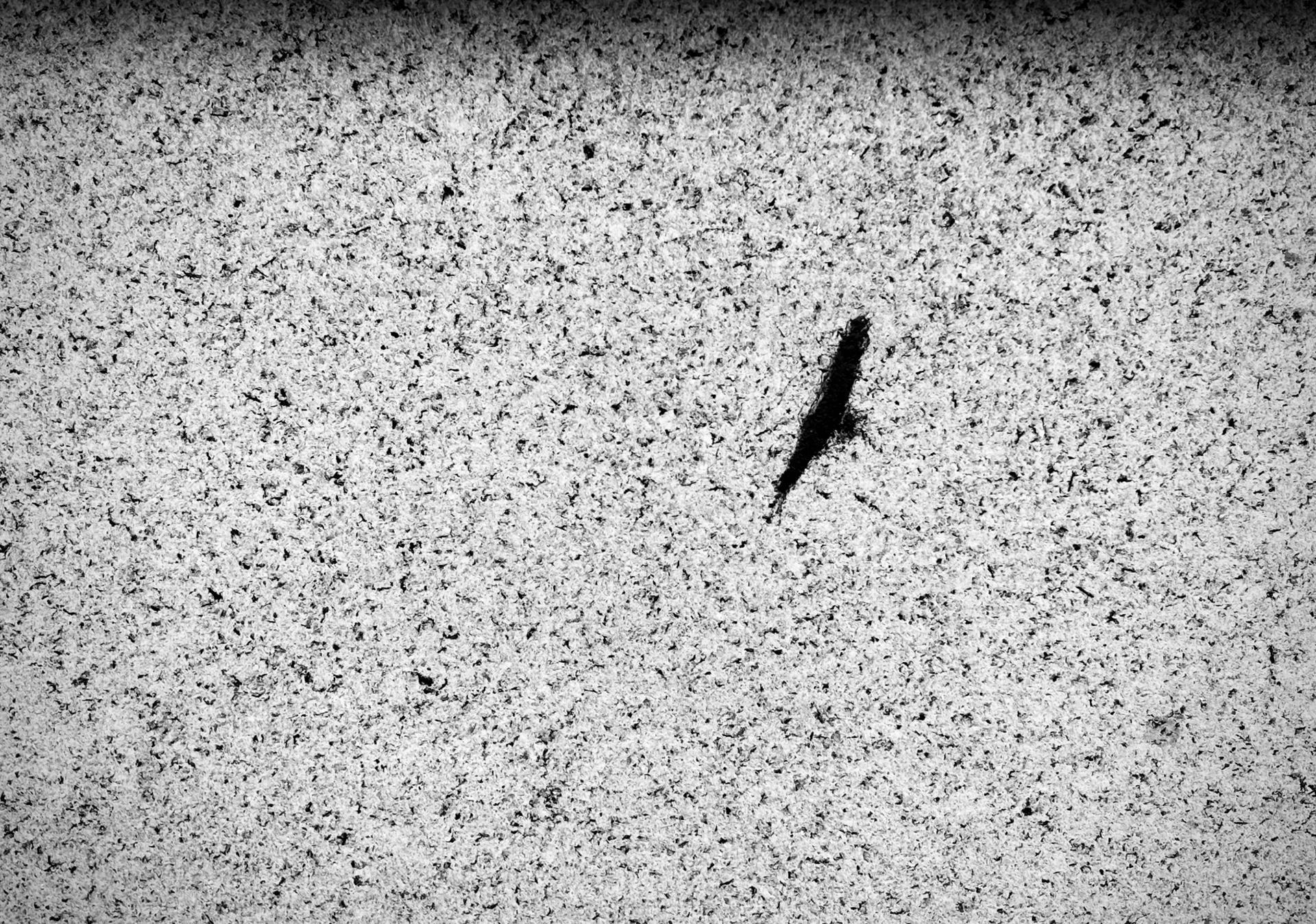 The logo's design was inspired by a bird-like mark on the wall, as described by the band's lead singer.