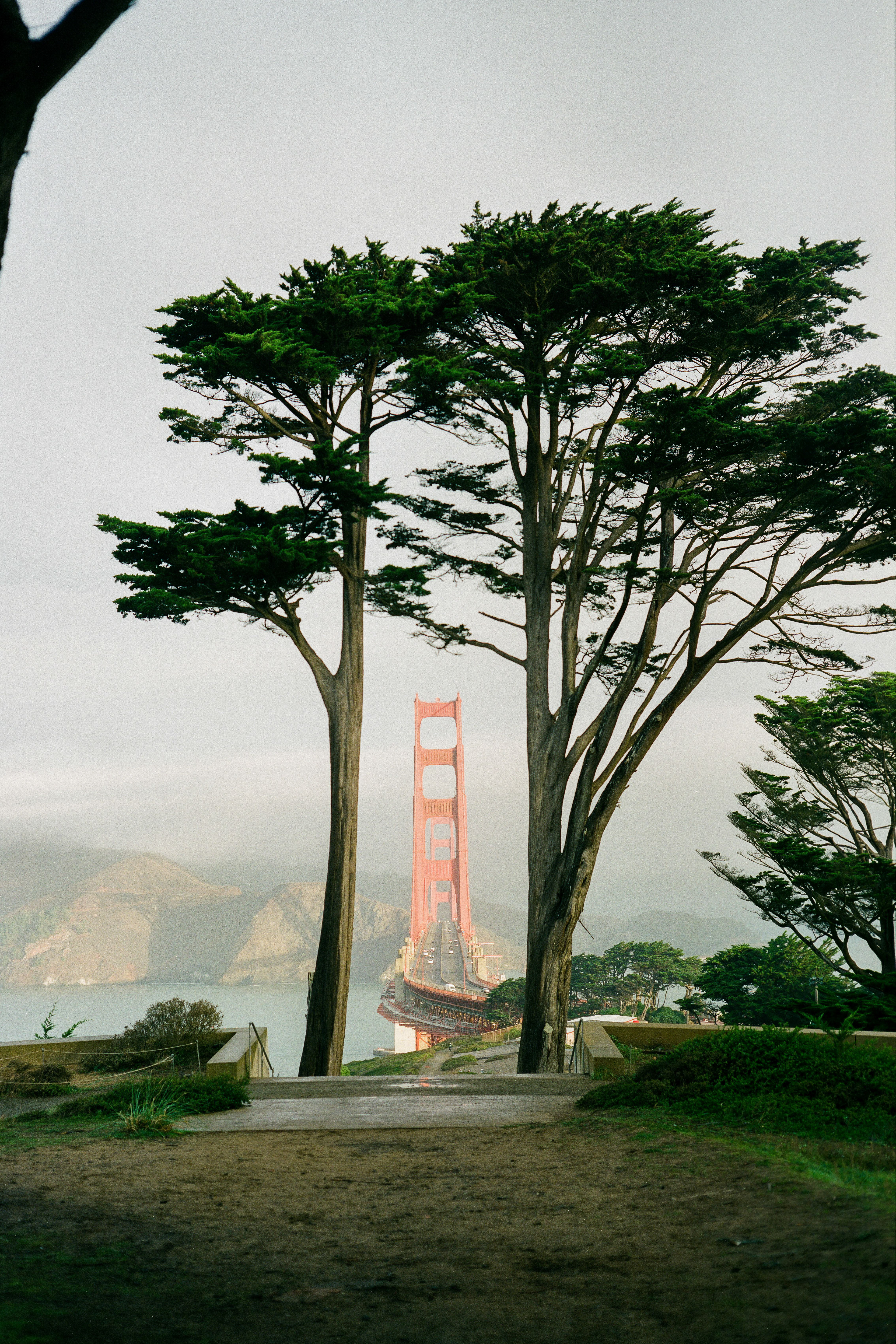 Golden Gate 3