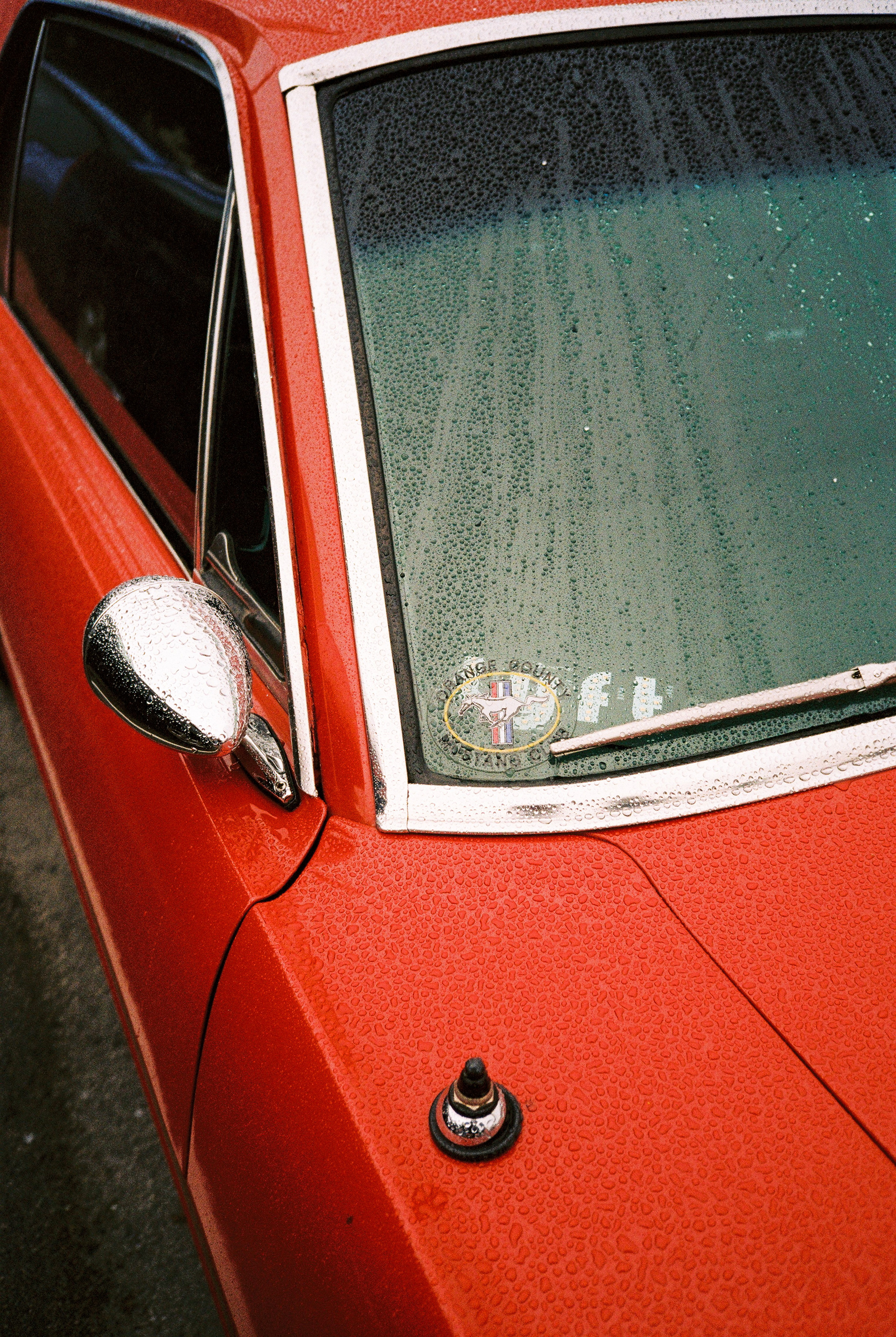 Mustang Dew Drops