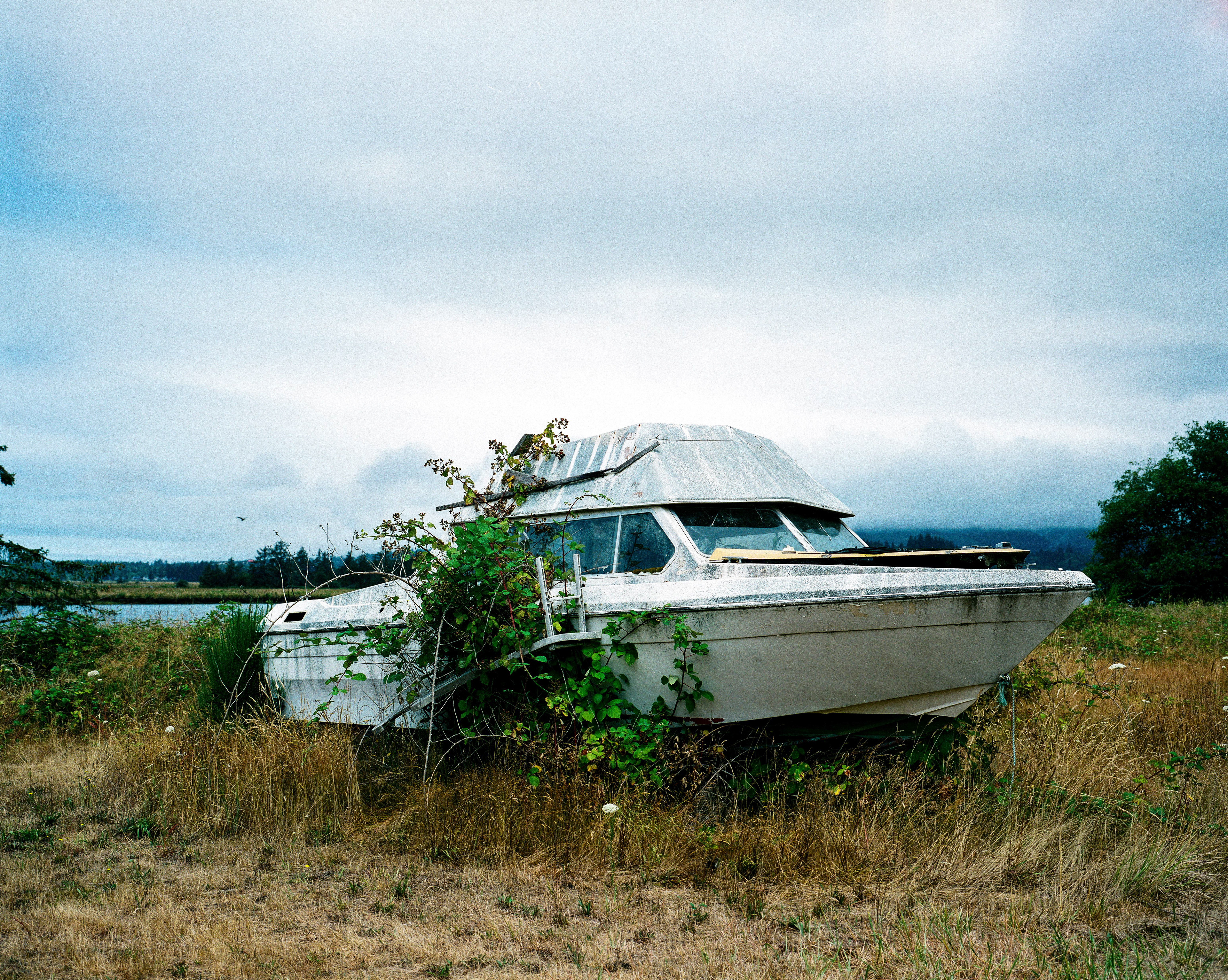 Beached