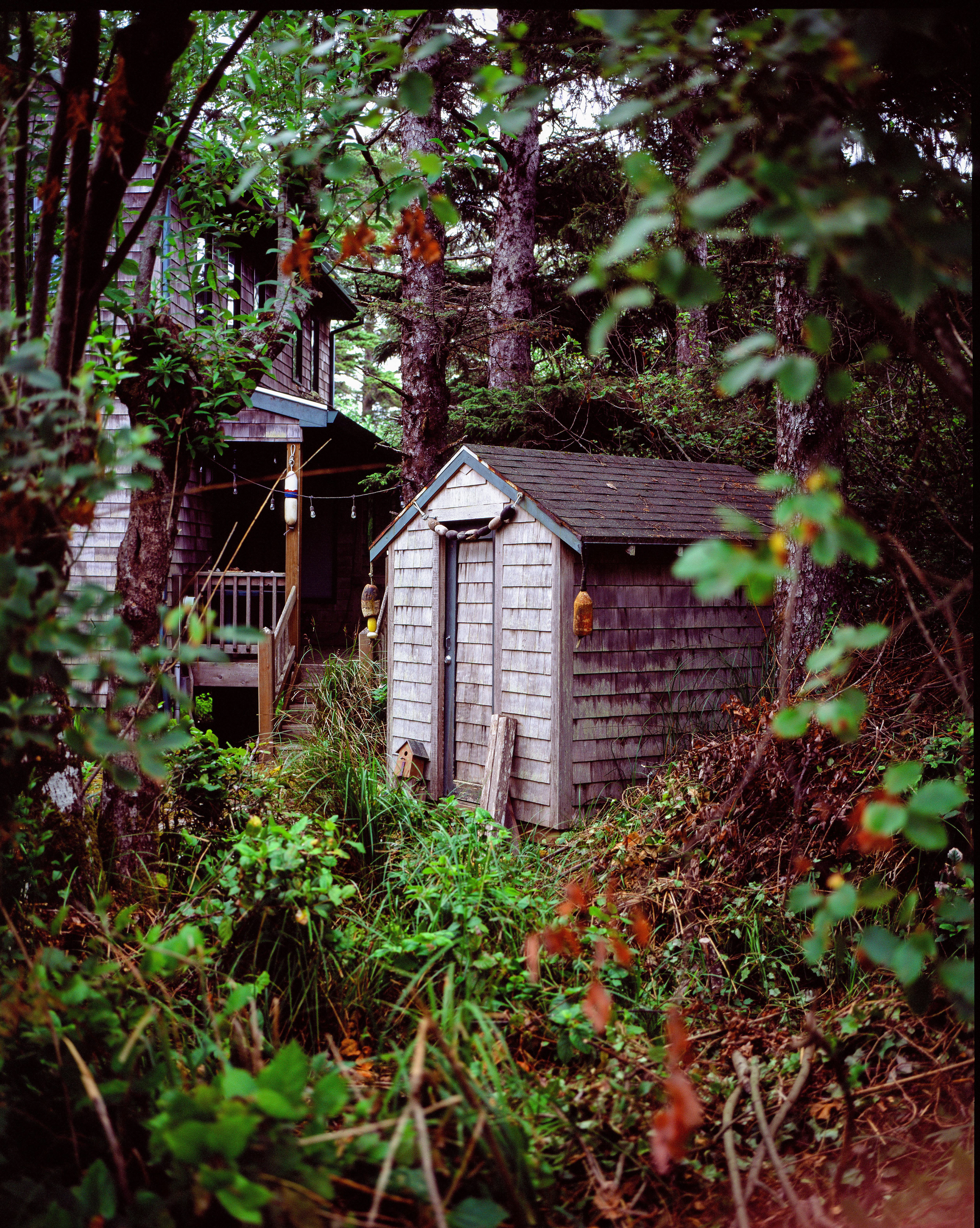 Quaint Shed