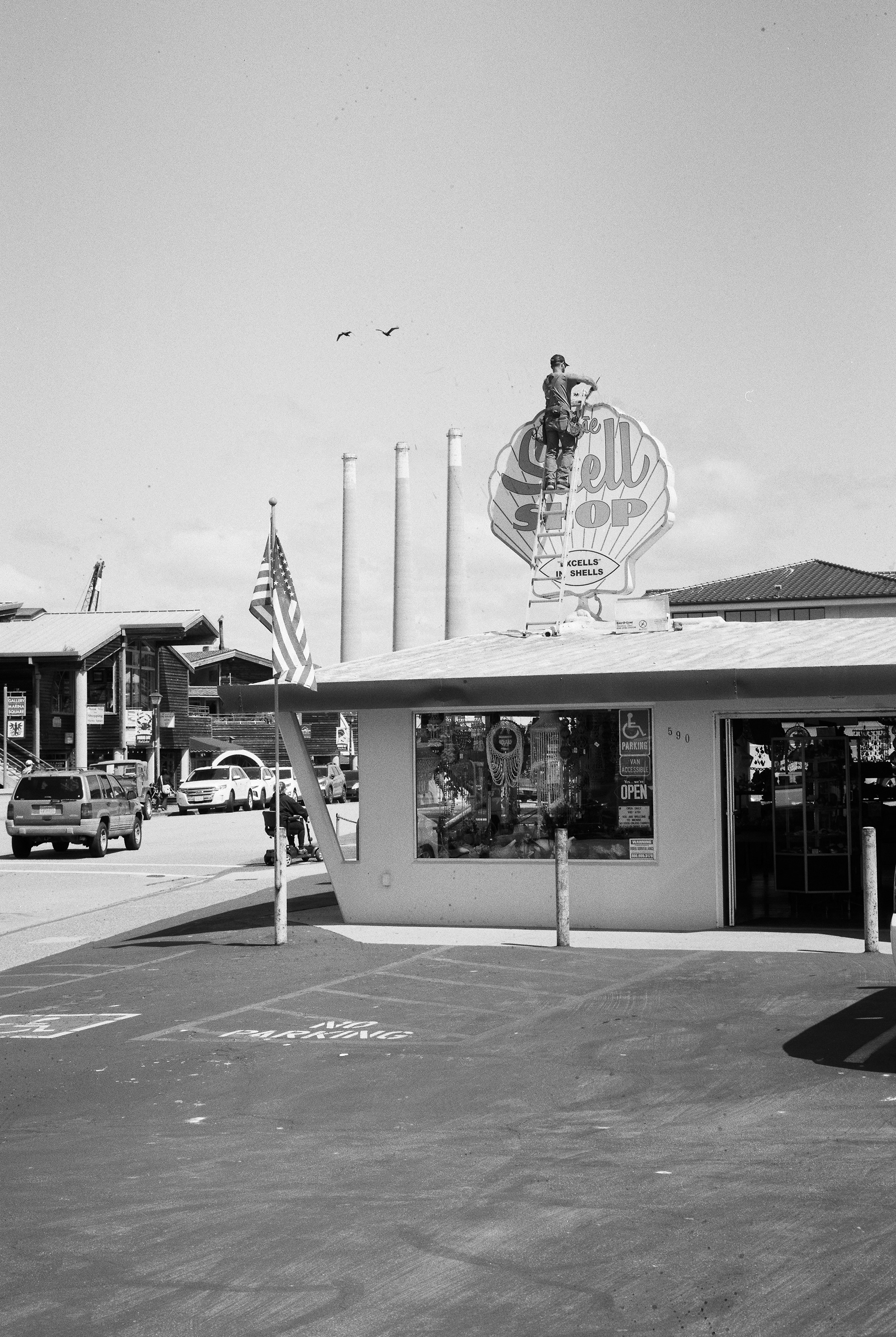 Shell Shop
