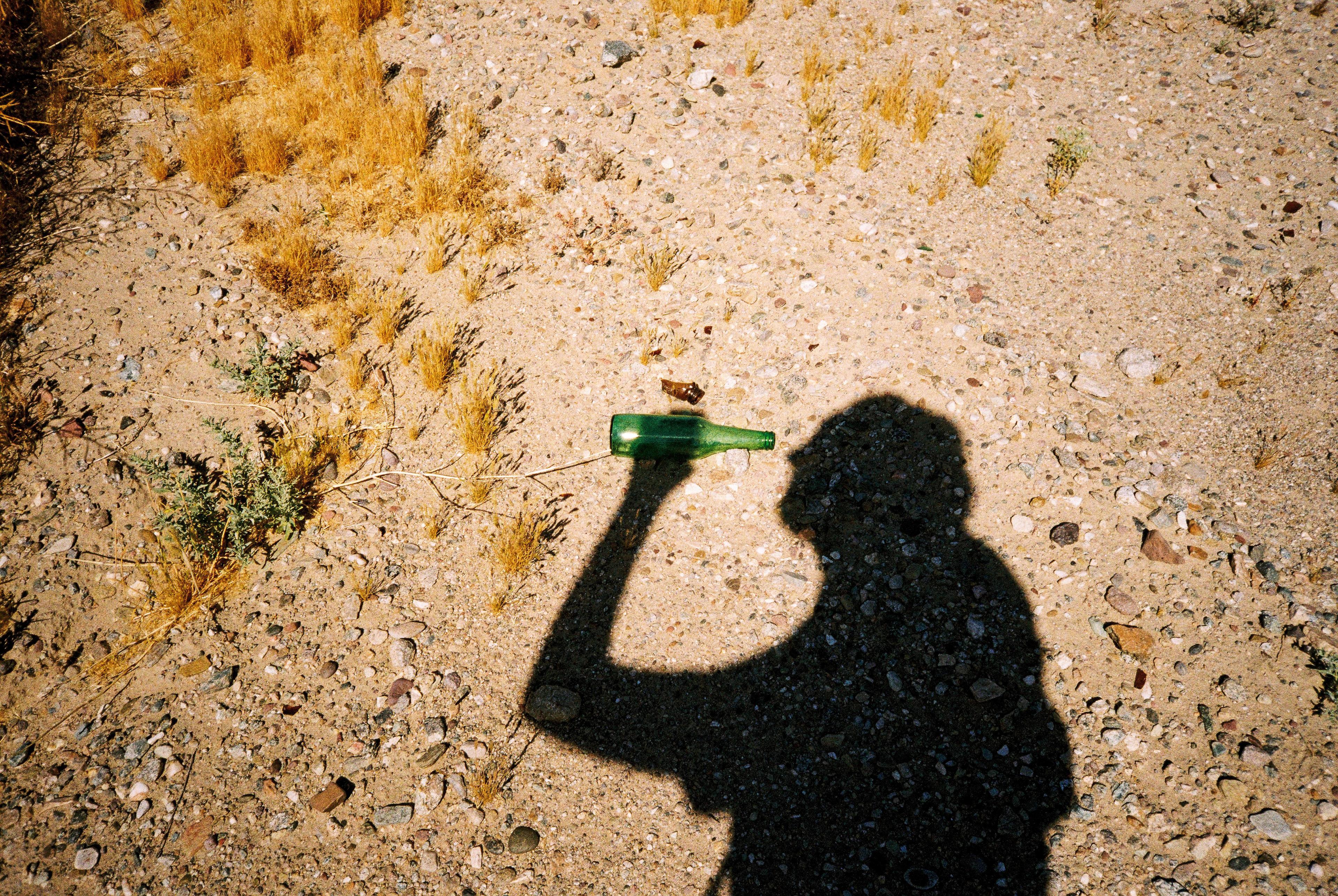 Thirsty Shadow