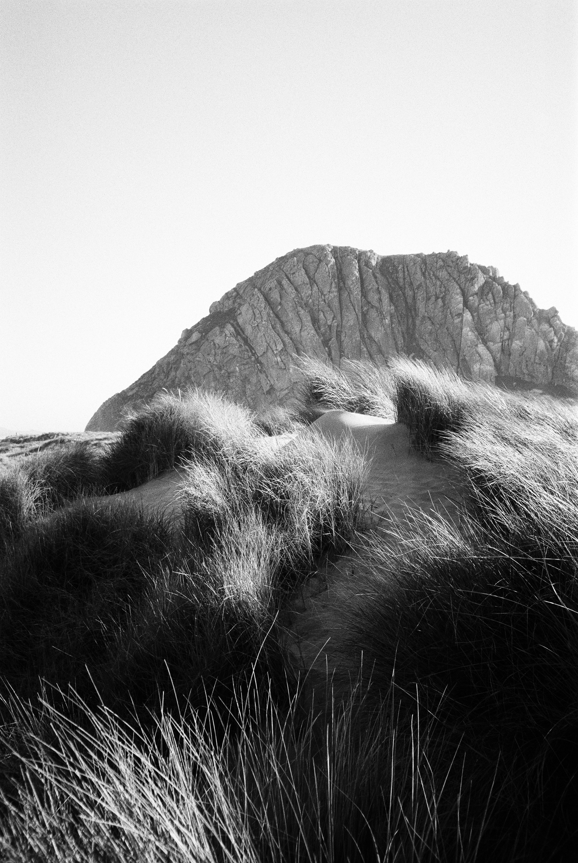 Morro Rock 3