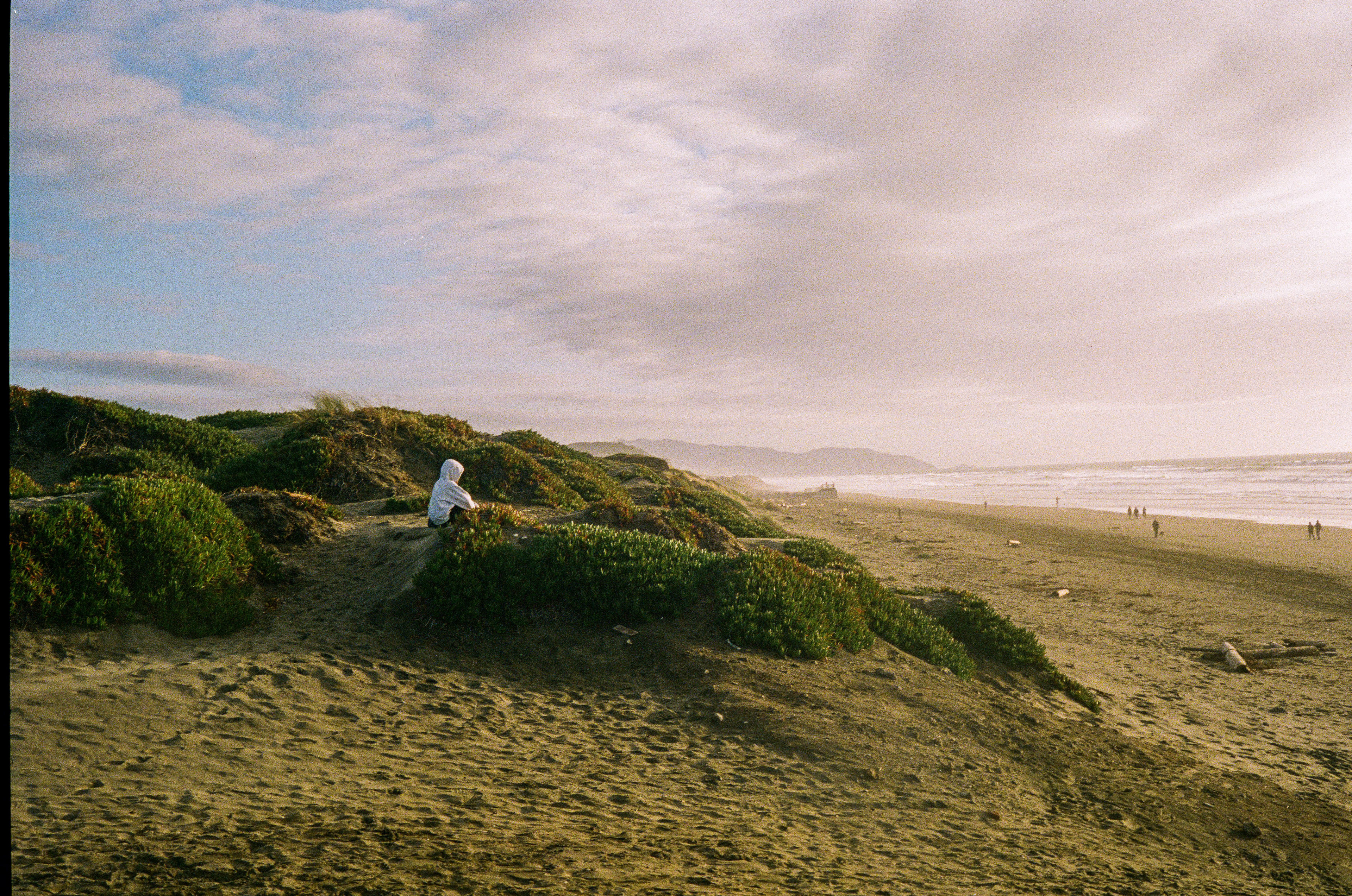 Beach Contemplation