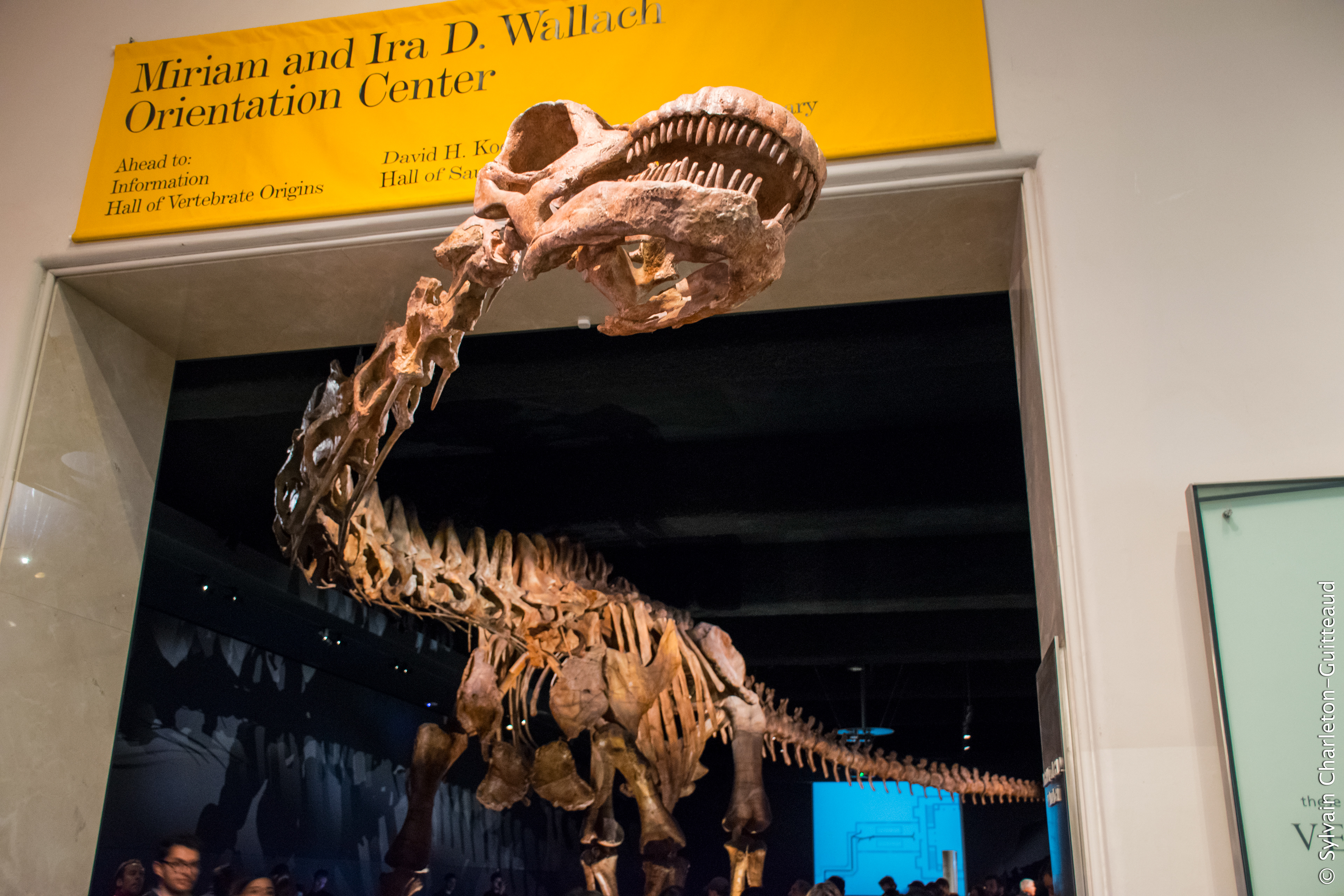 Museum of Natural History