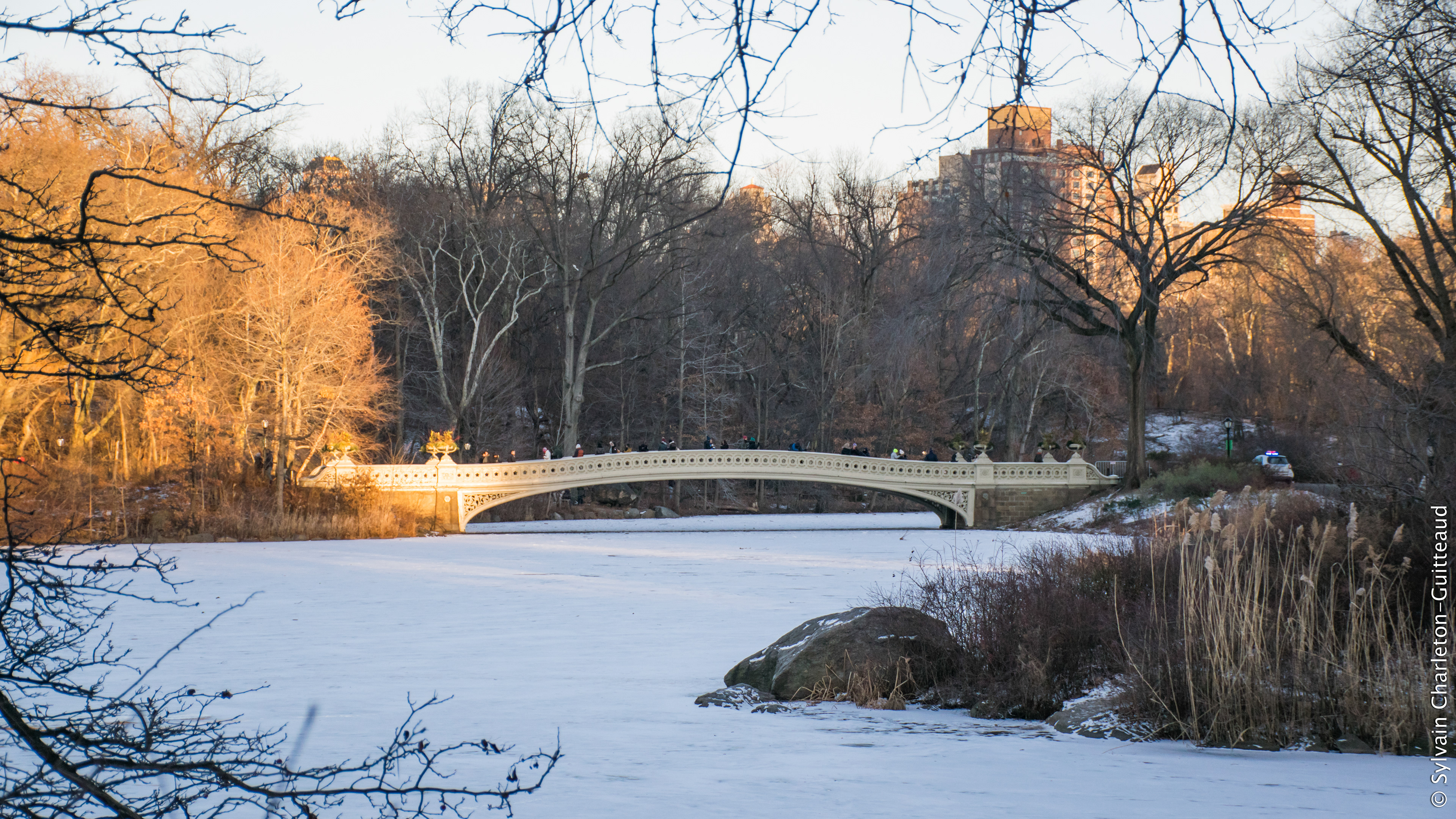 Central Park