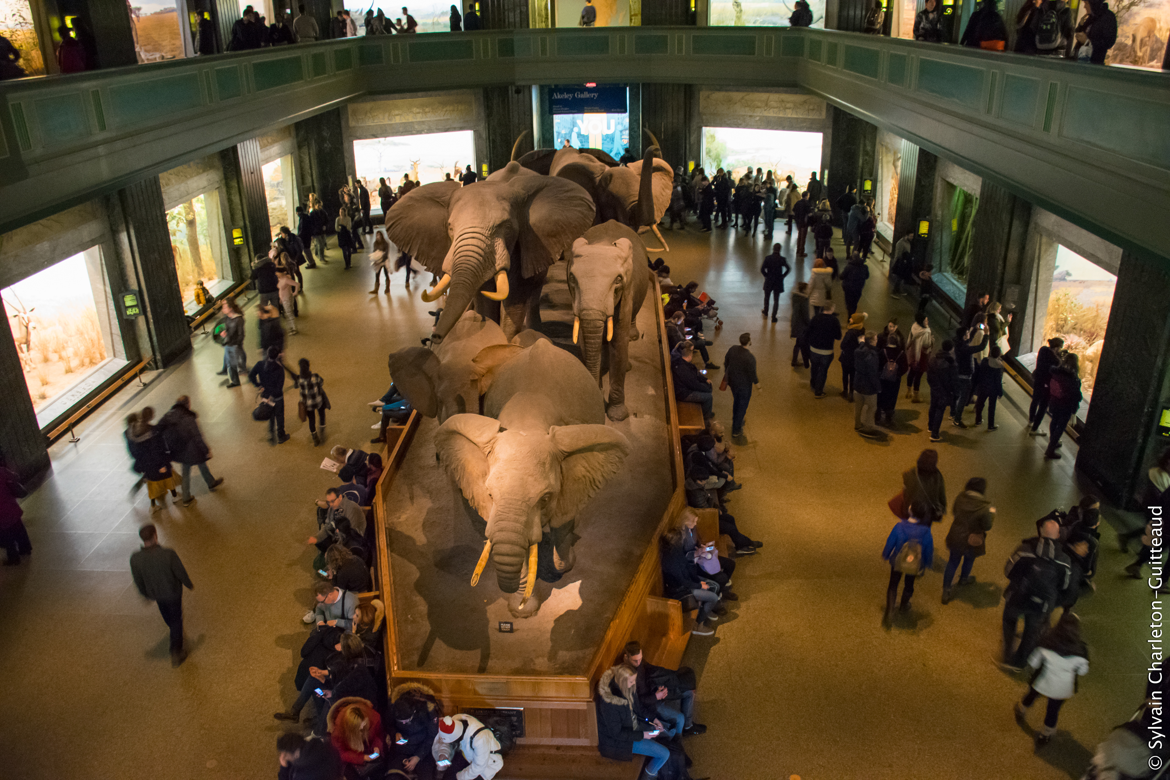 Museum of Natural History
