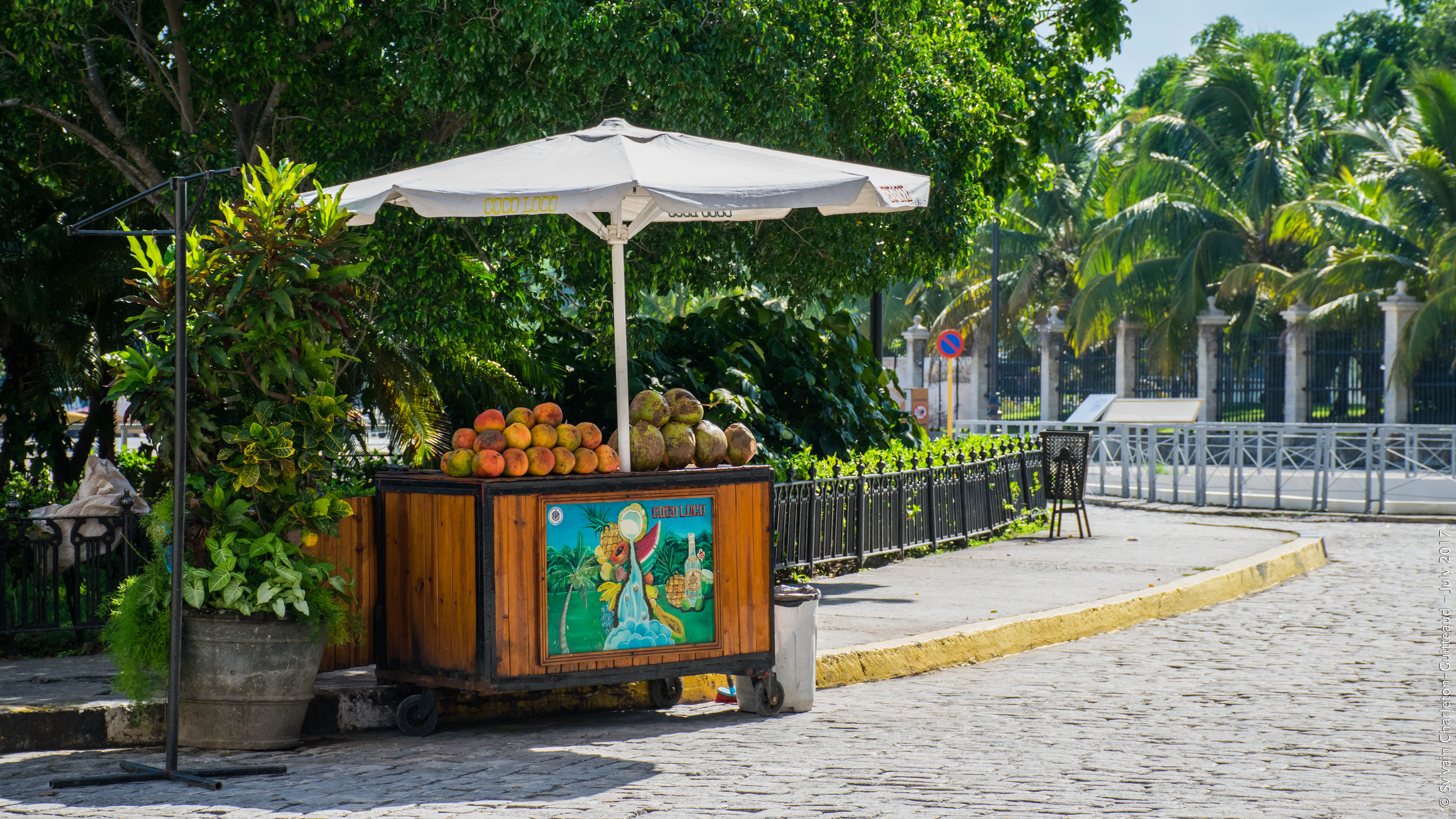 Havana