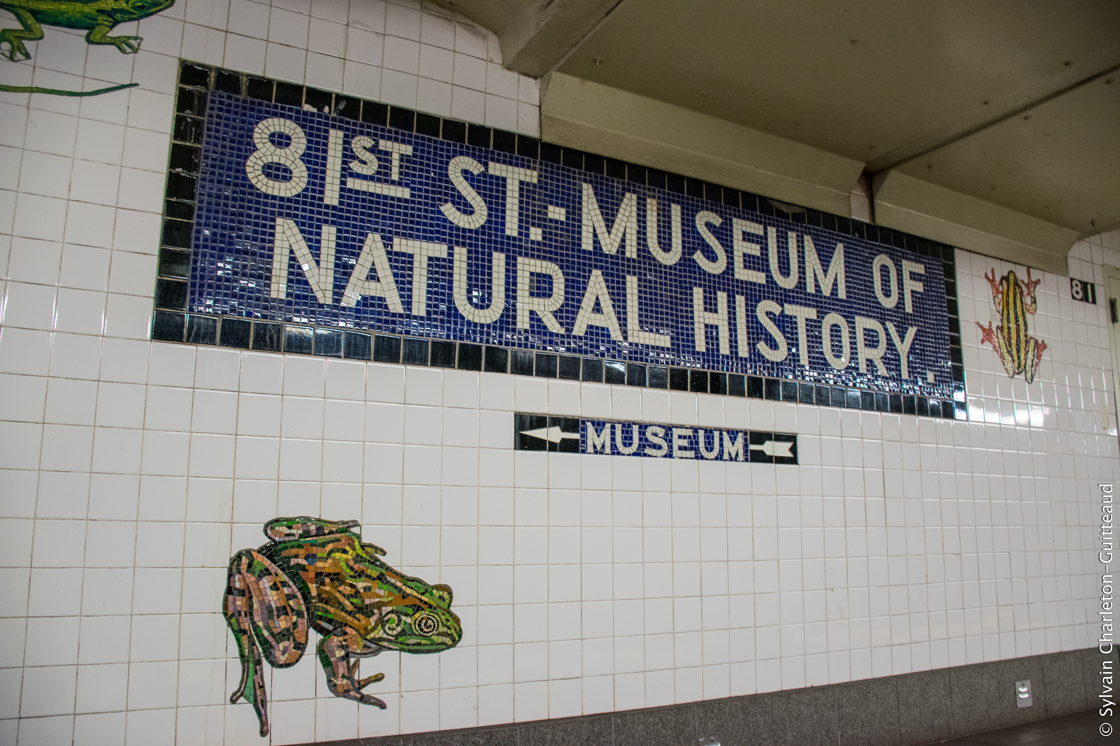 Museum of Natural History