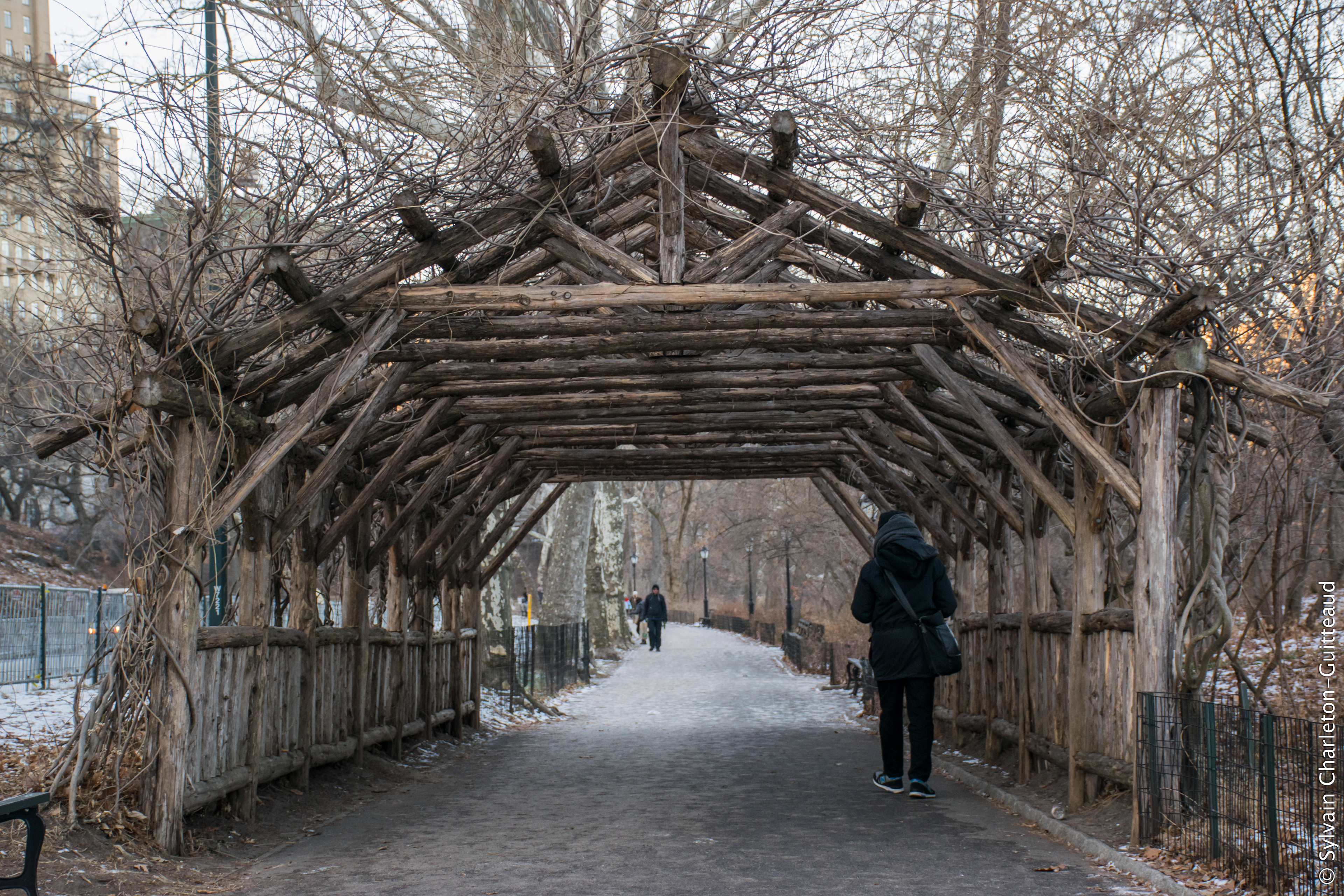 Central Park