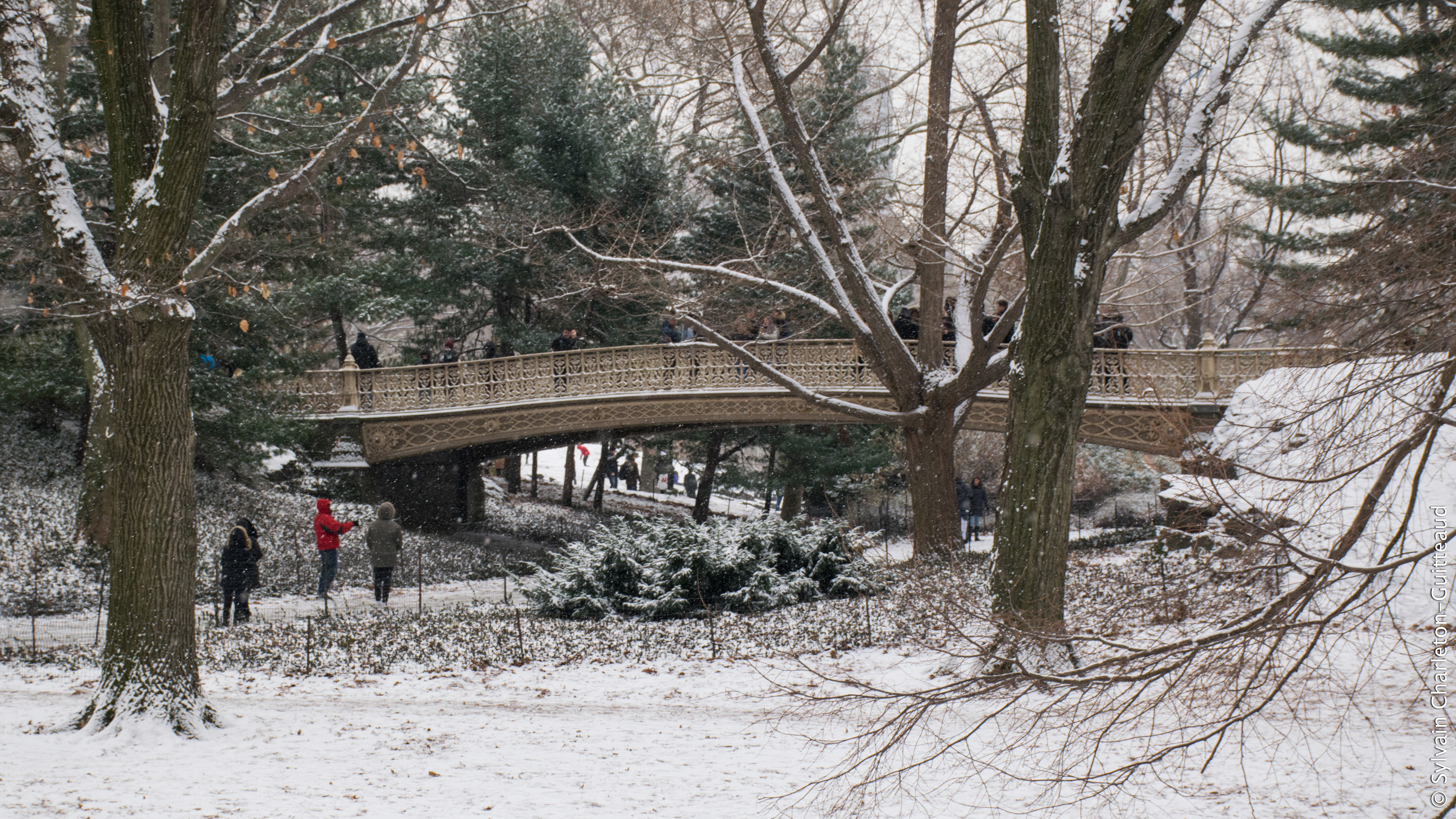 Central Park