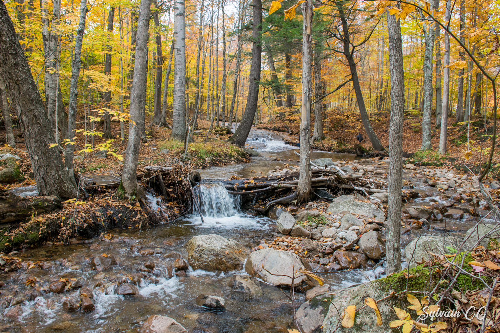 Autumn hiking