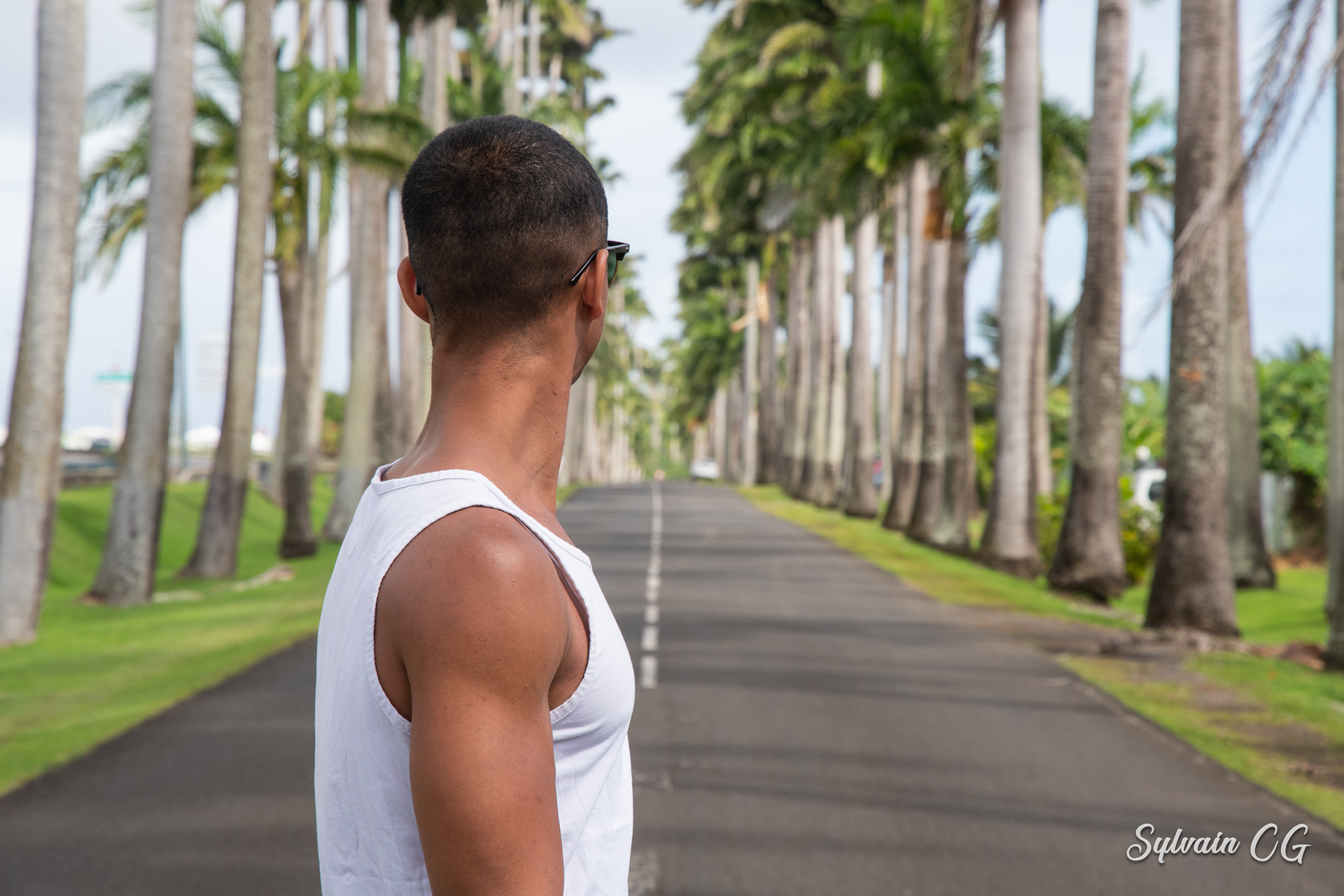 Sylvano - Allée Dumanoir, Guadeloupe