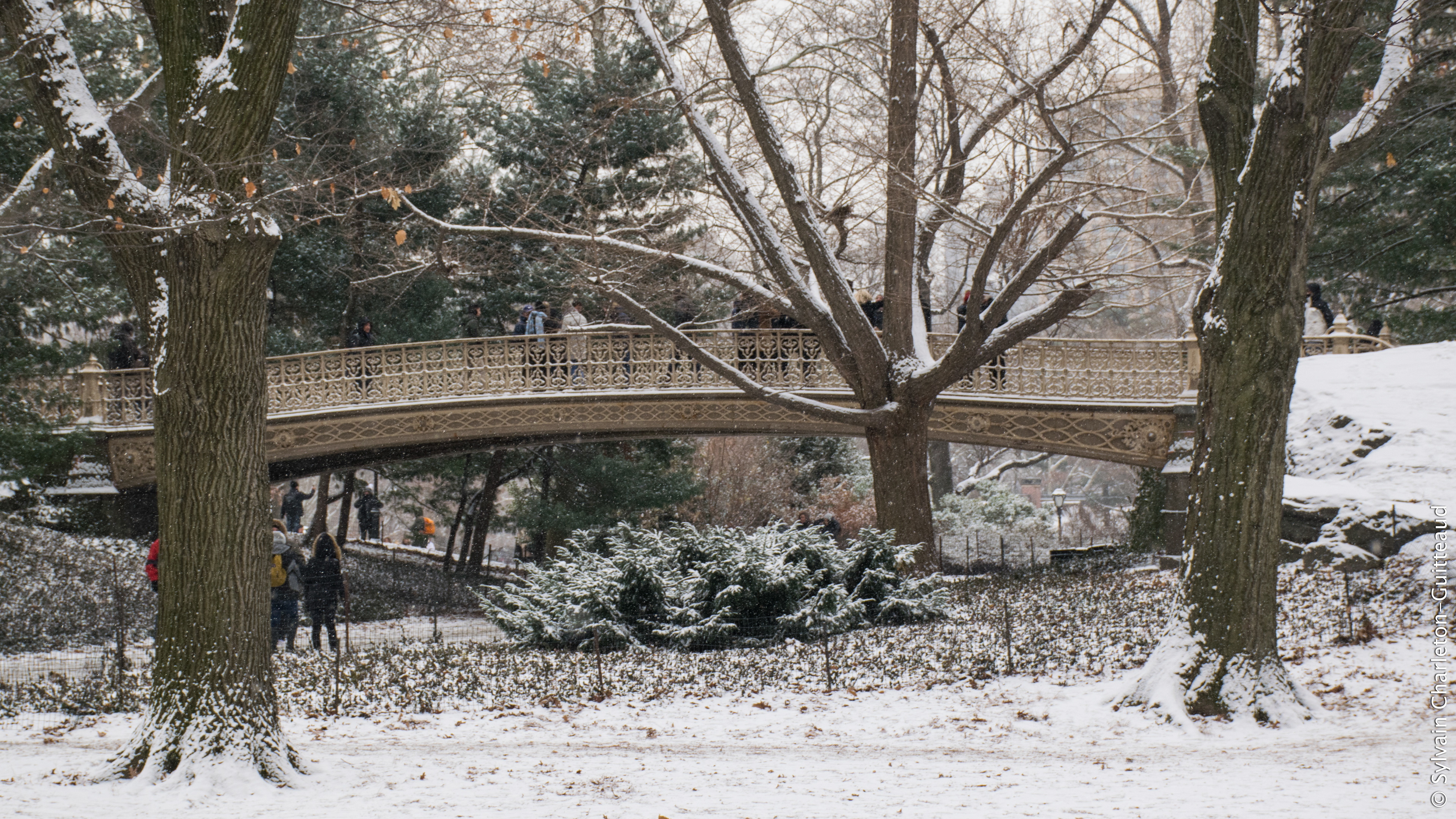 Central Park