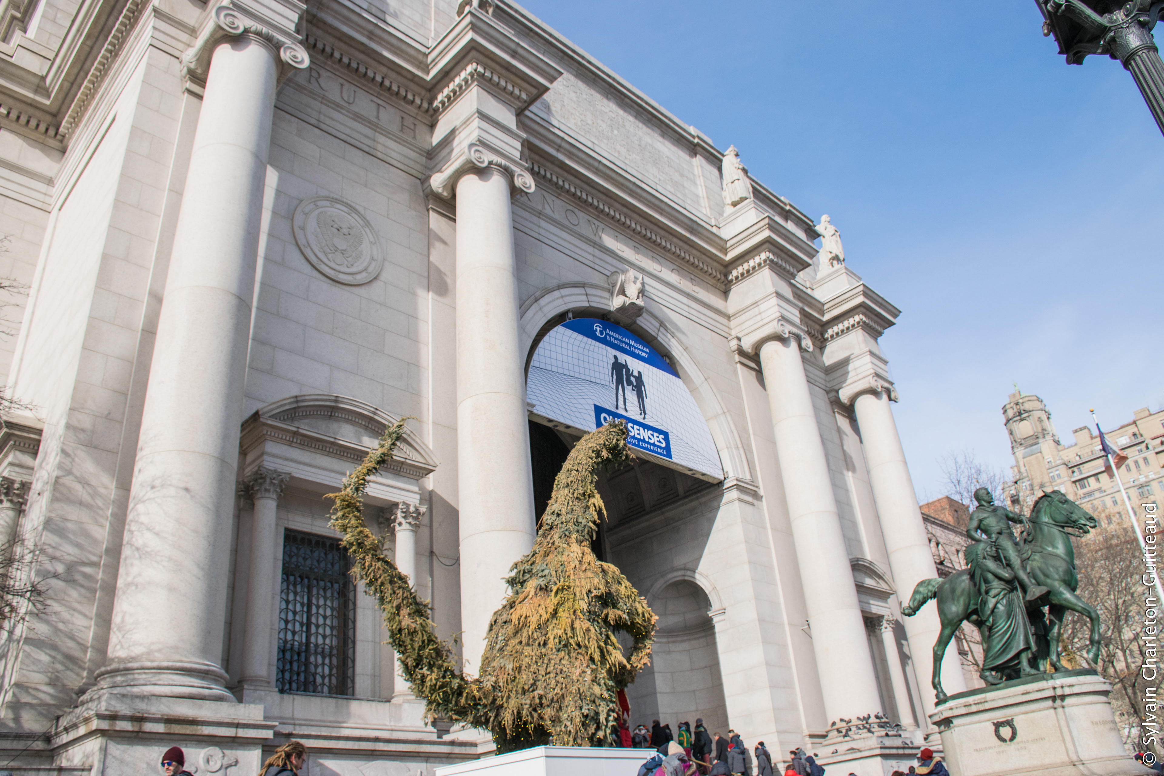 Museum of Natural History