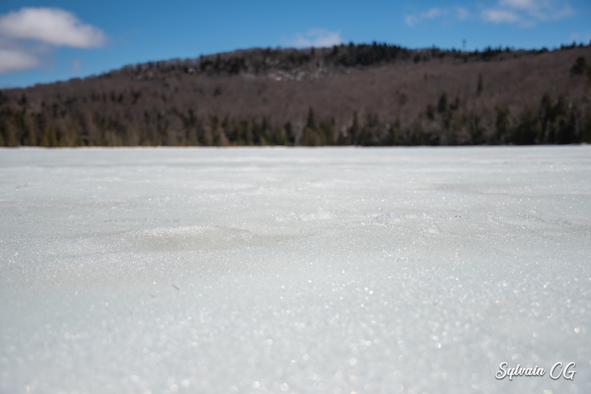 Icy lake