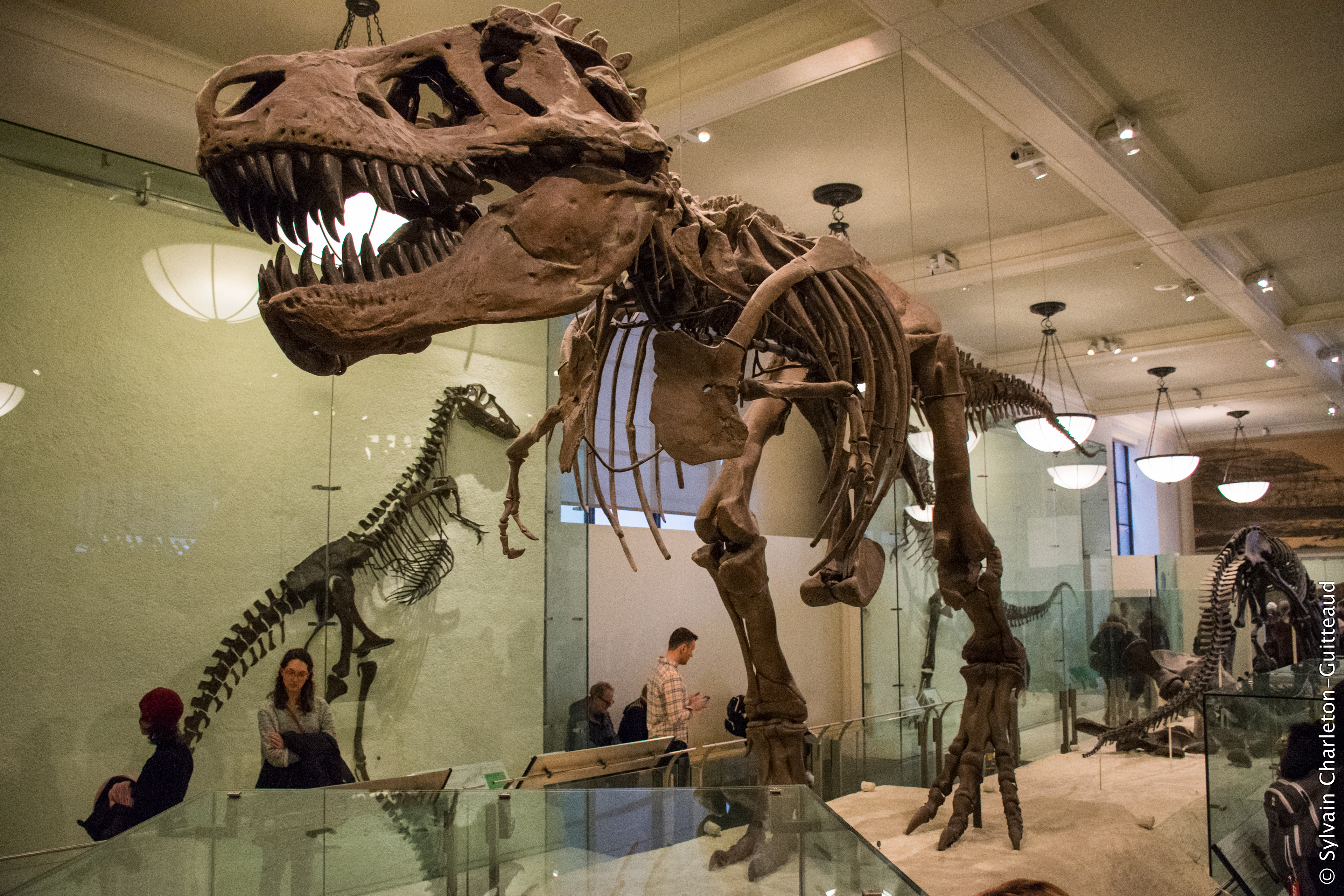 Museum of Natural History