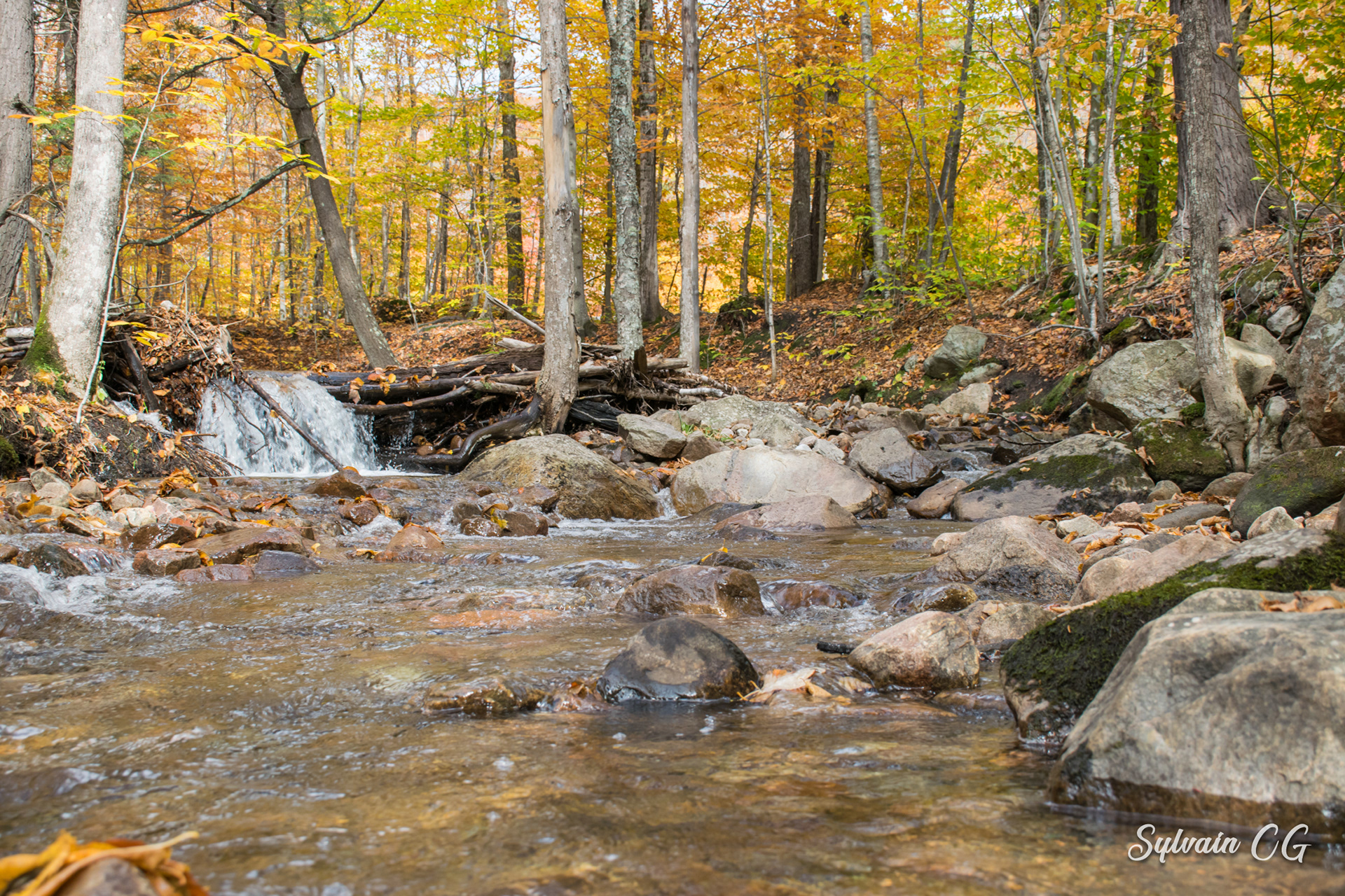 Autumn hiking