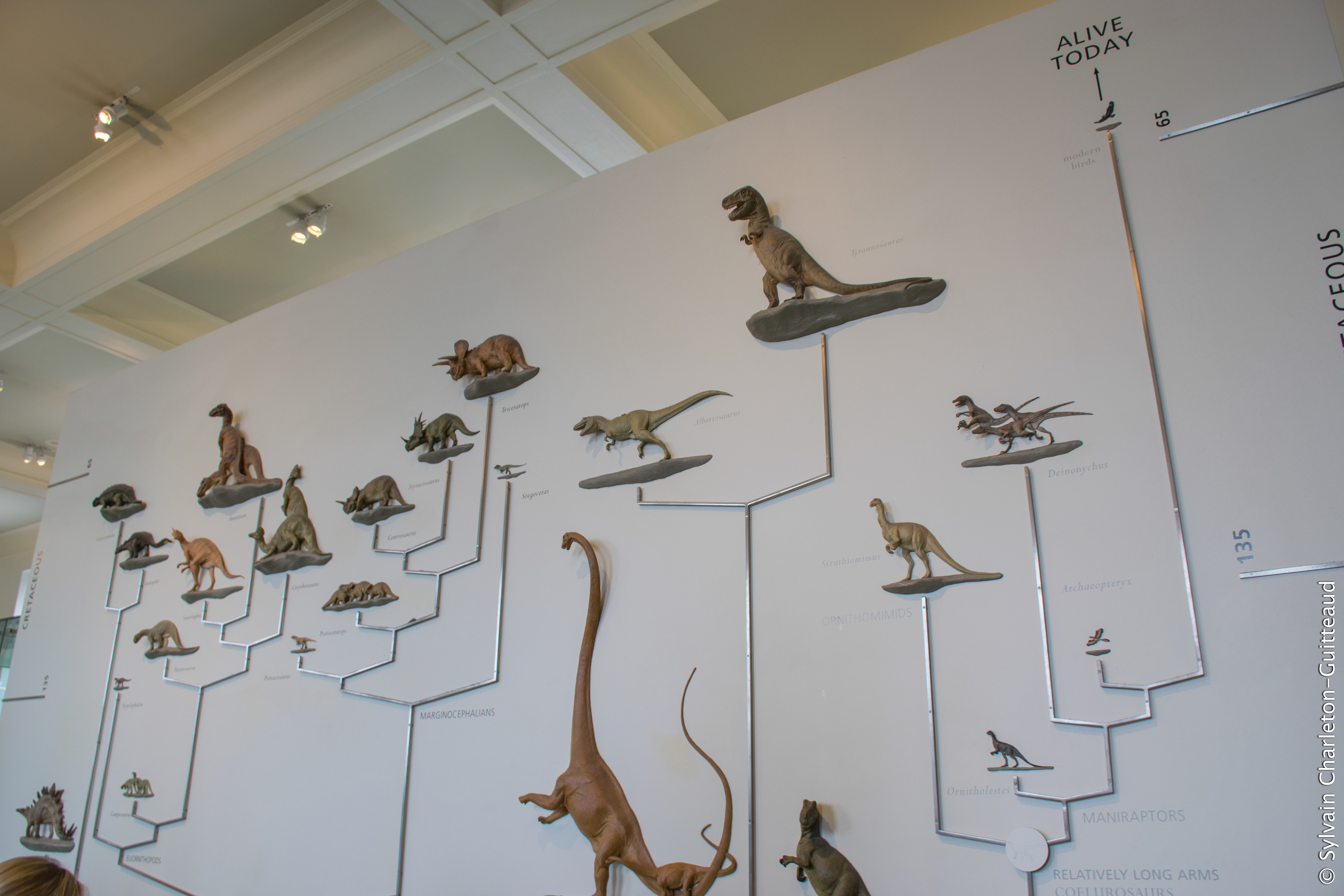 Museum of Natural History