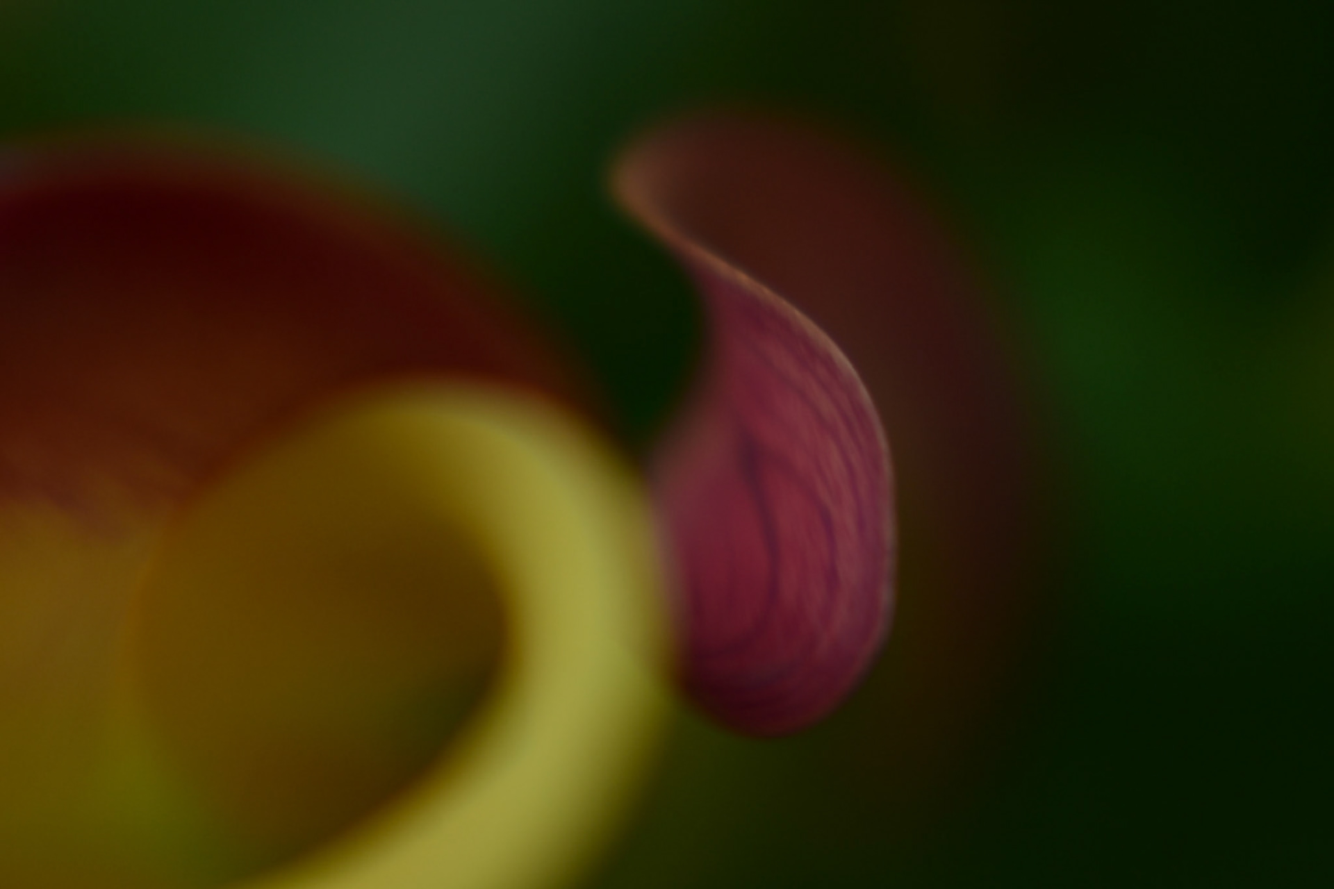 Flowery and Eary