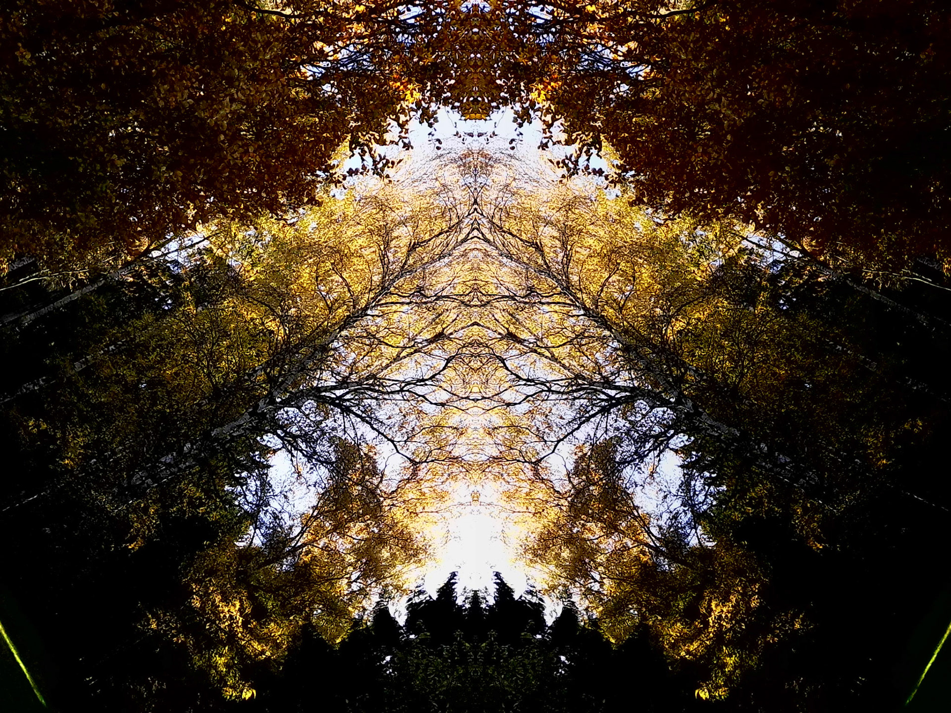 Sun in the Middle