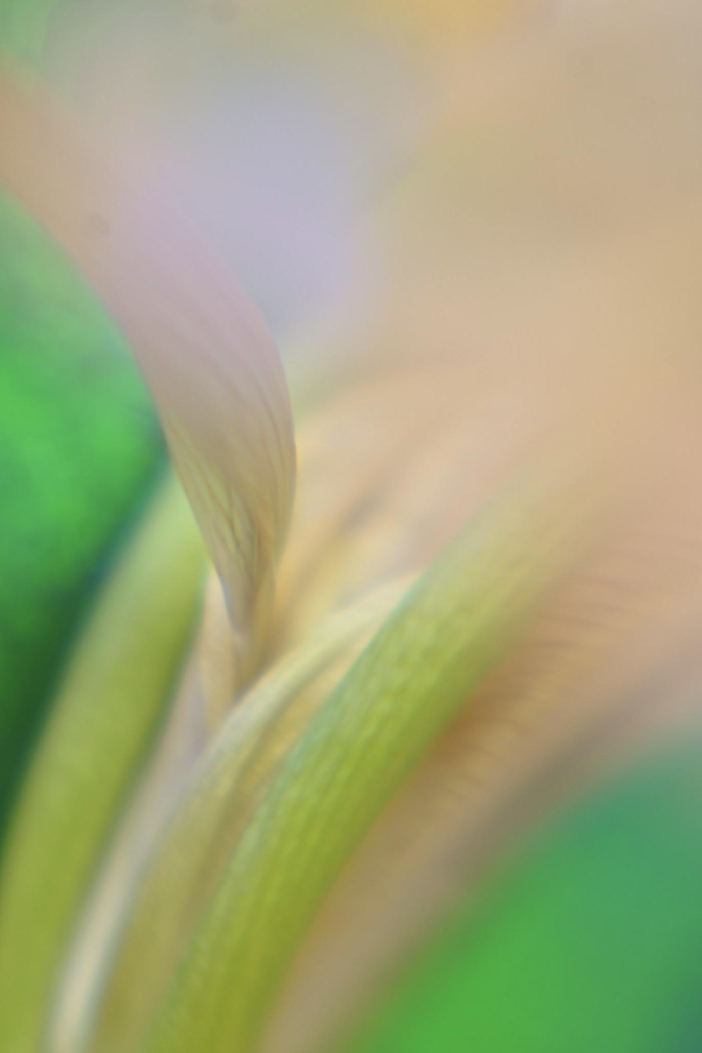 Green Slide