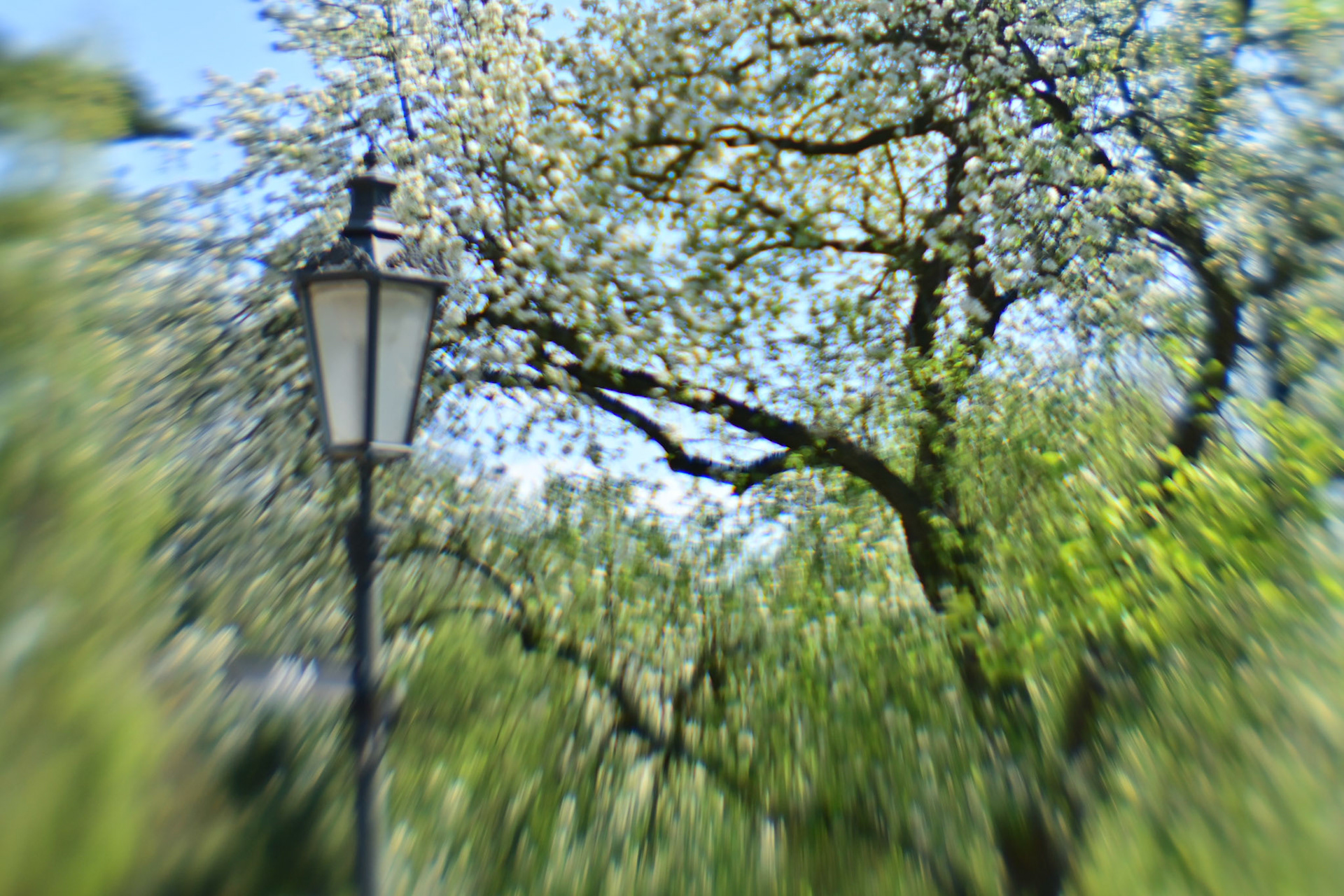 Lamp Dance