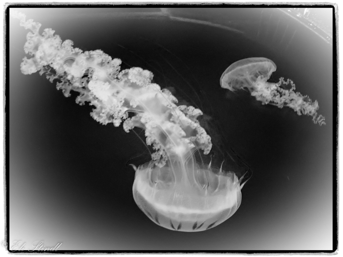 Poetics of Movement - Hidden Art of Communication