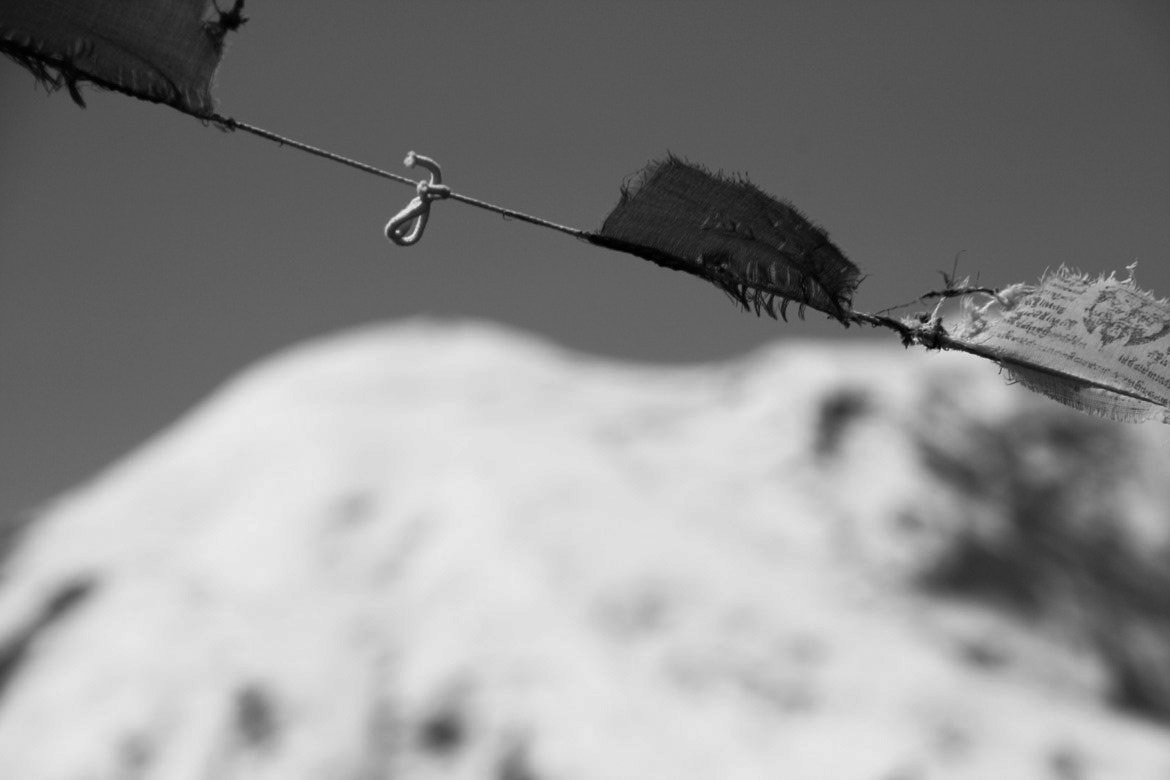 Mount Rainier and Flags