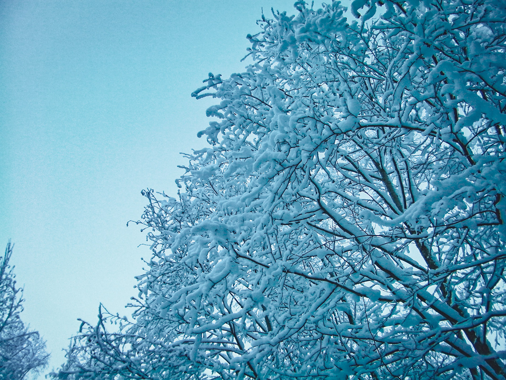 SANYO DIGITAL CAMERA