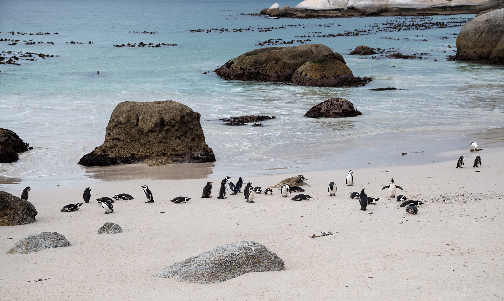 Boulders Beach
