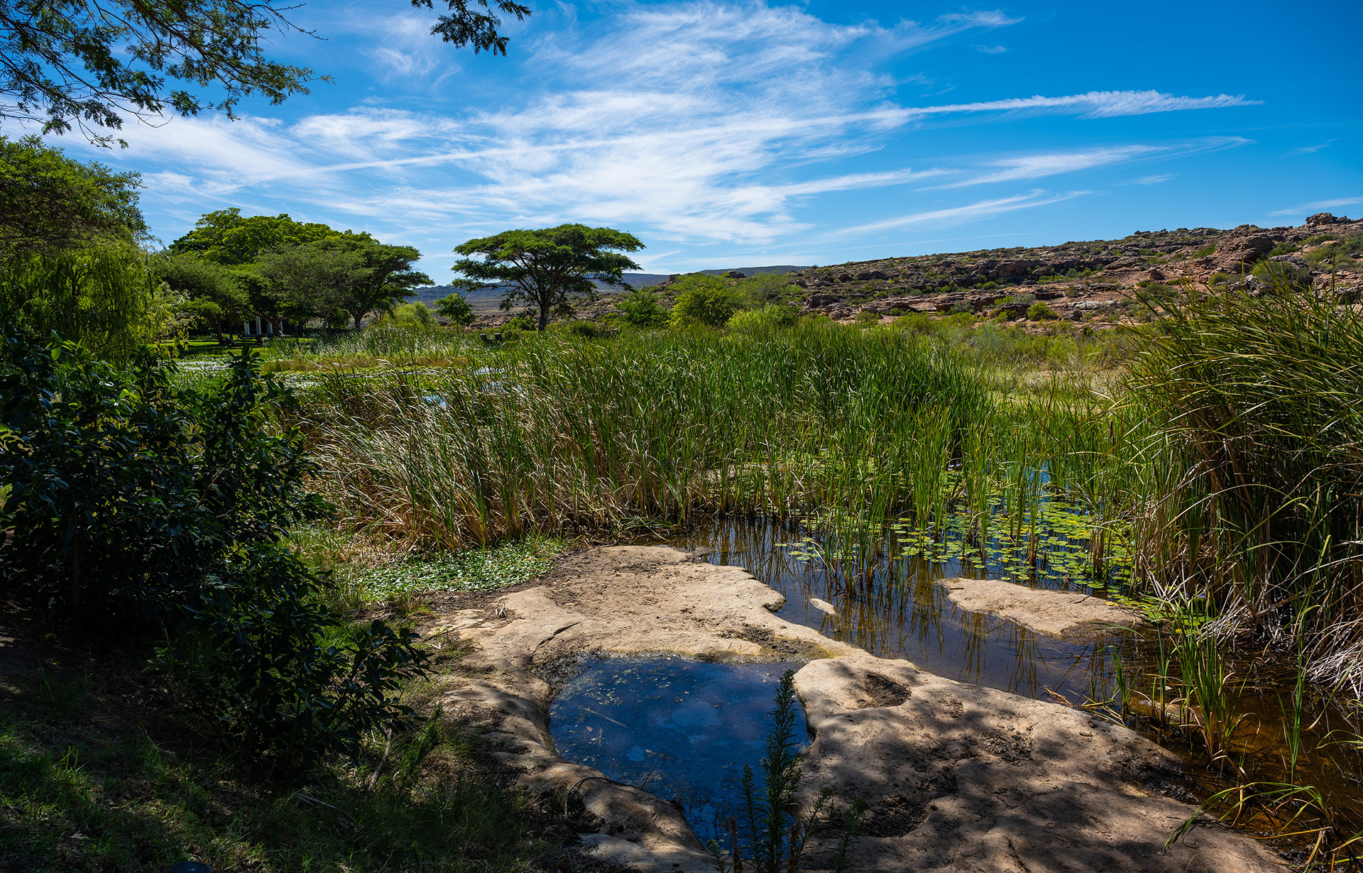 Bushmanskloof