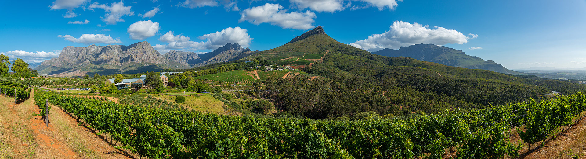Tokara / Stellenbosch