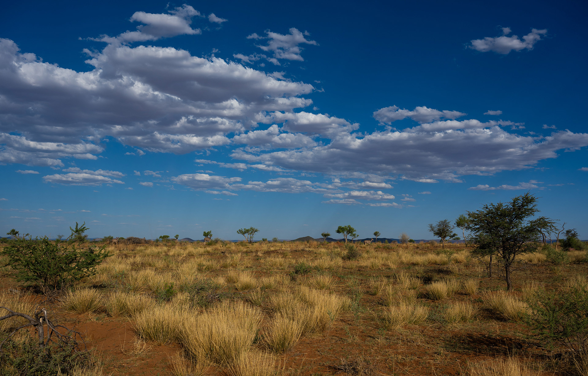 Kalahari