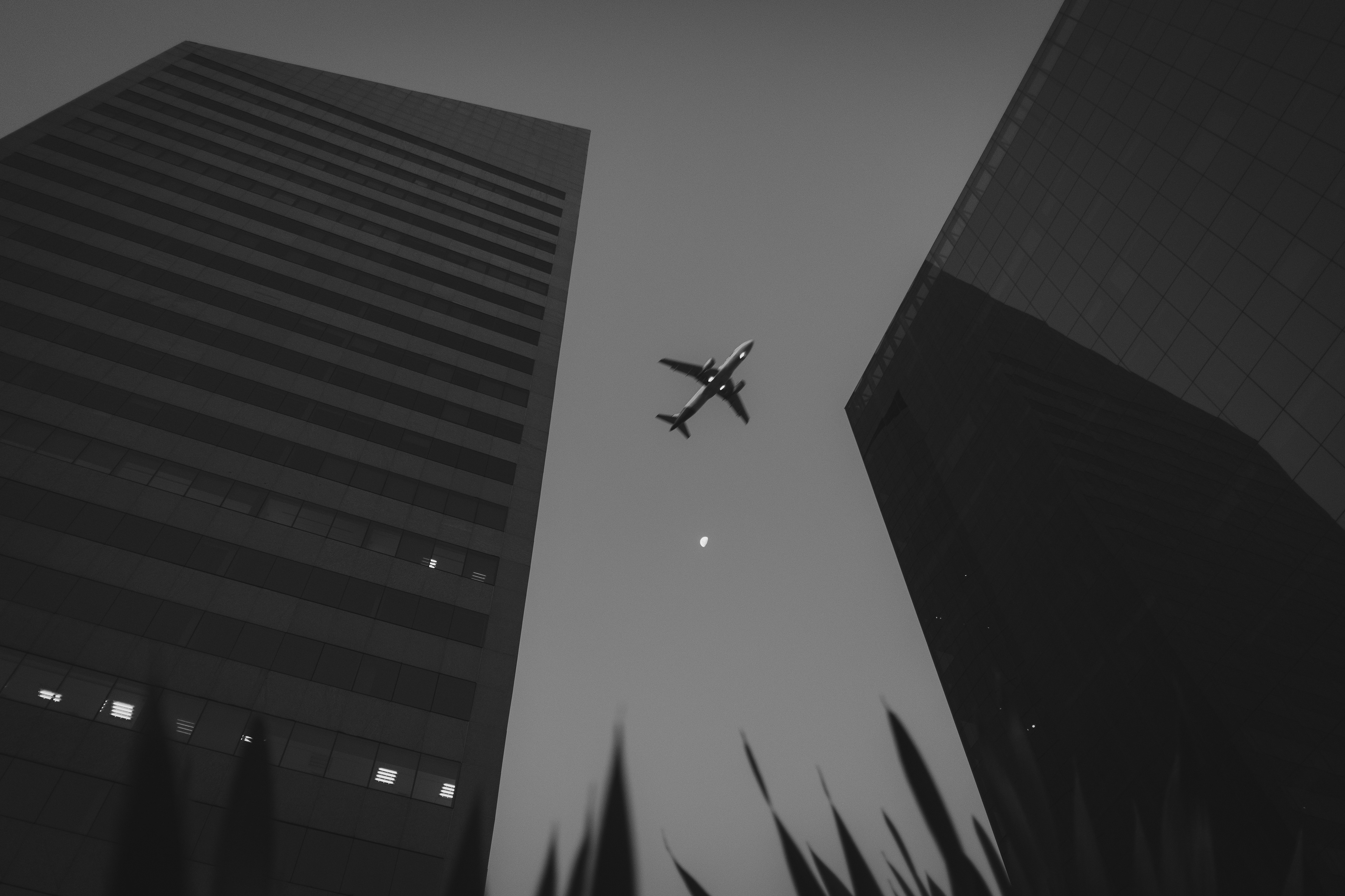 Fotografia digital full frame feita pelo fotógrafo por brvnos Bruno Santiago. As fotos digitais de brvnos são feitas em câmeras full frame profissionais, com tratamento individual e exclusivos. O brvnos faz ensaios personalizados, fotografias de retratos, fotografia de produtos e ensaios boudoir. As fotografias de ensaios são perfeitas para uso em redes sociais e perfis profissionais.