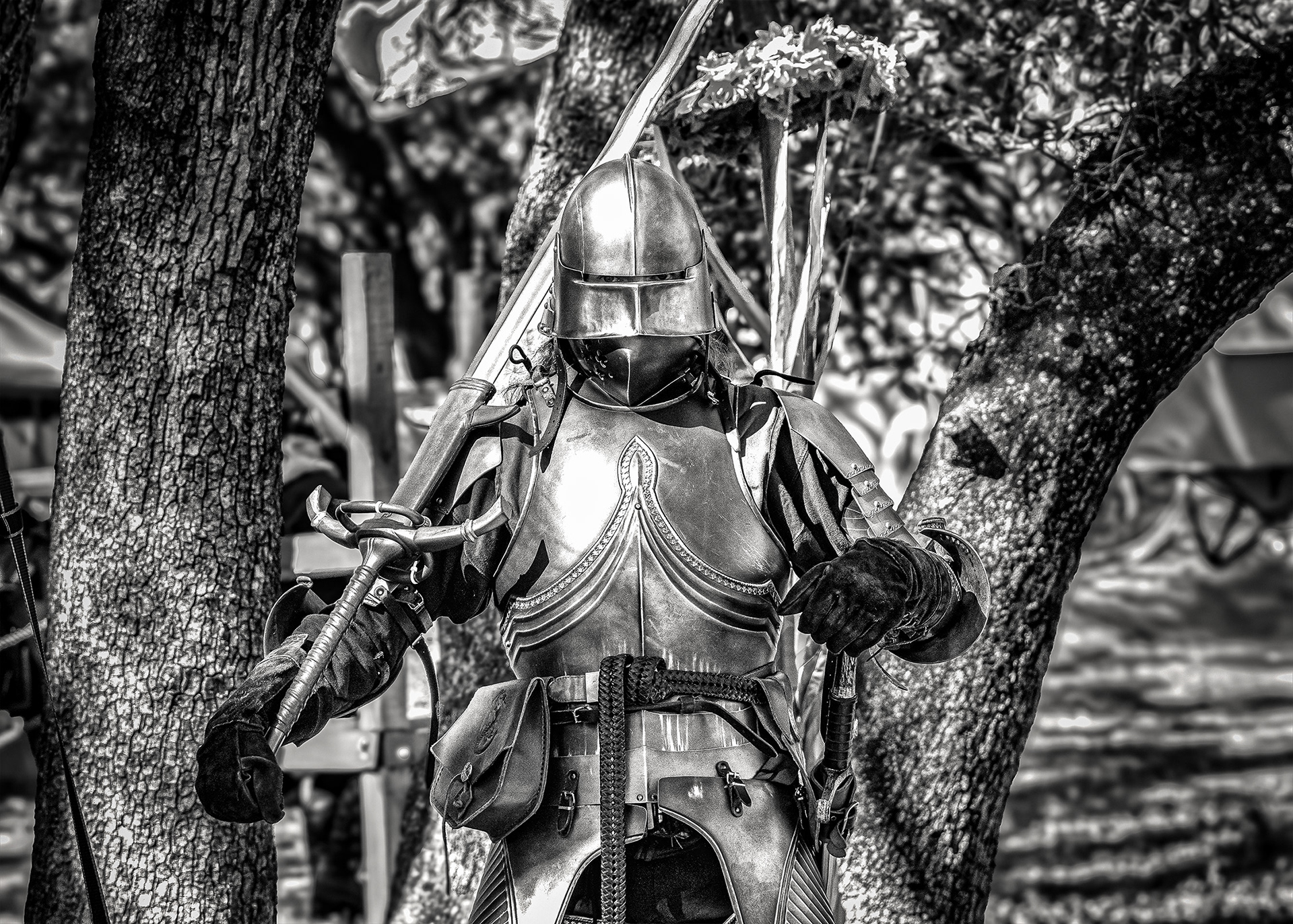 Camelot Days