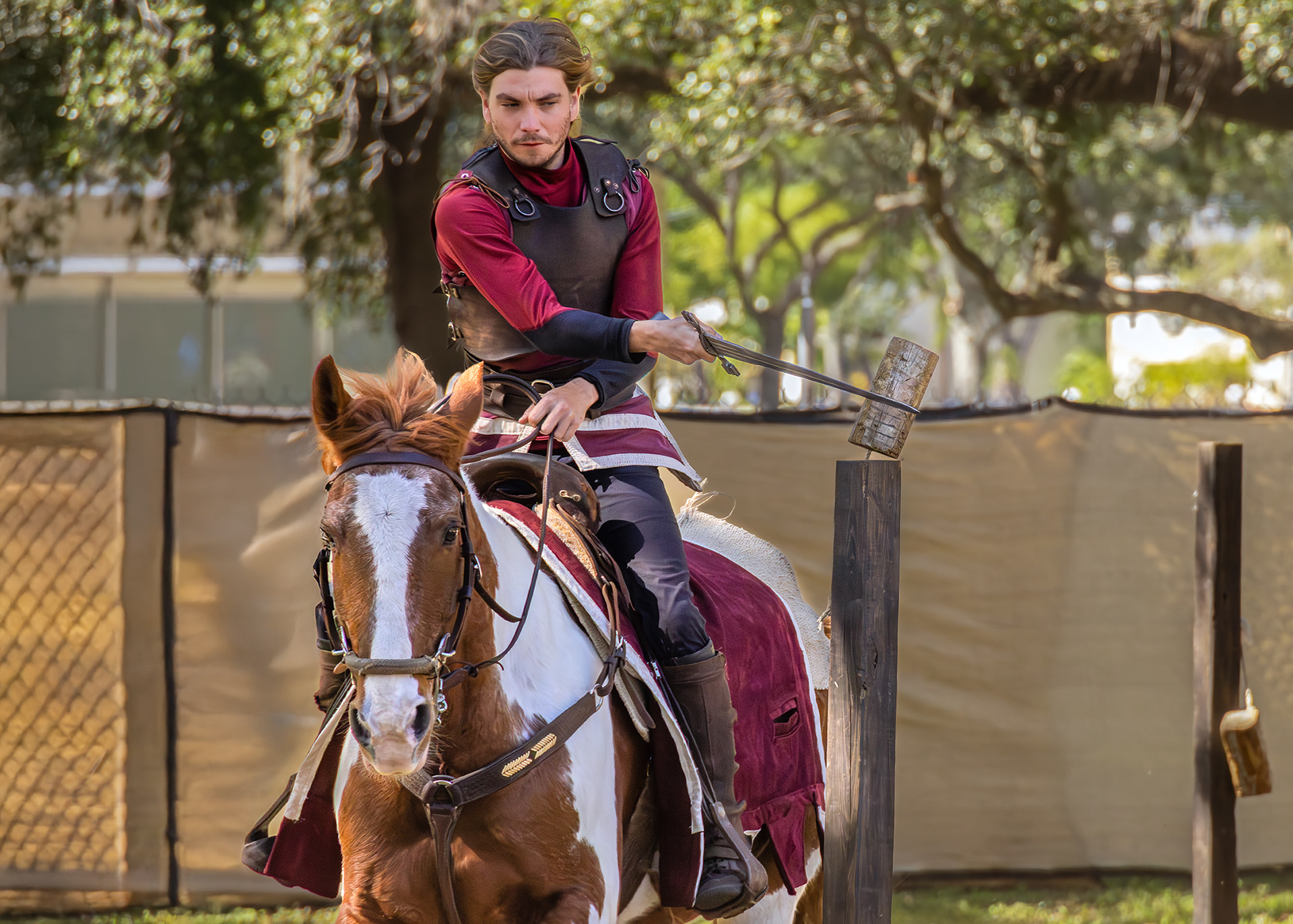 Camelot Days