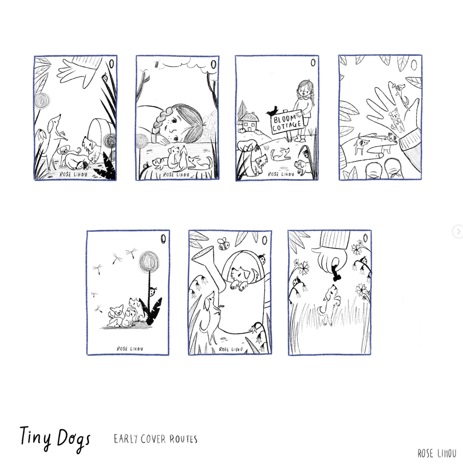 cover idea thumbnails 